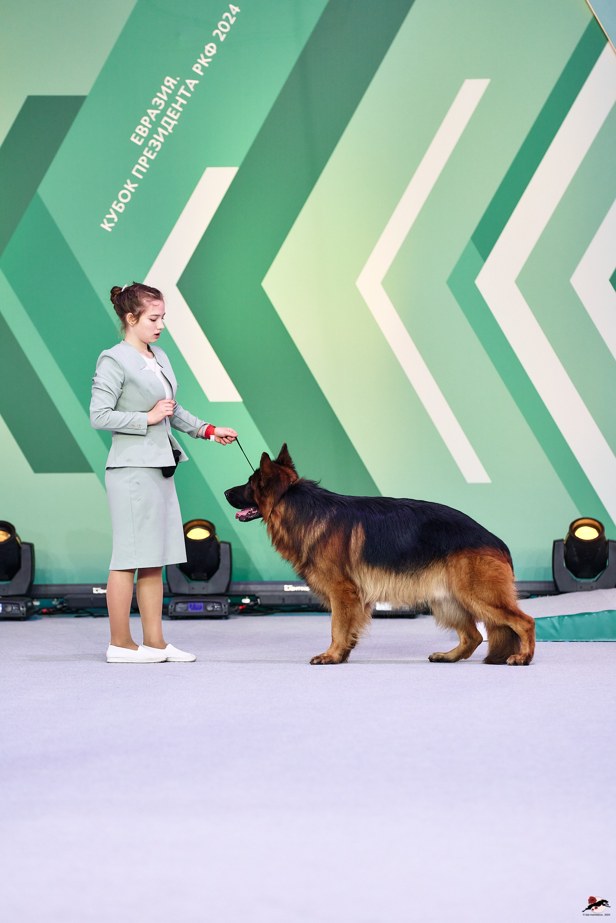 16.11.2024 «ЕВРАЗИЯ. КУБОК ПРЕЗИДЕНТА РКФ 2024»