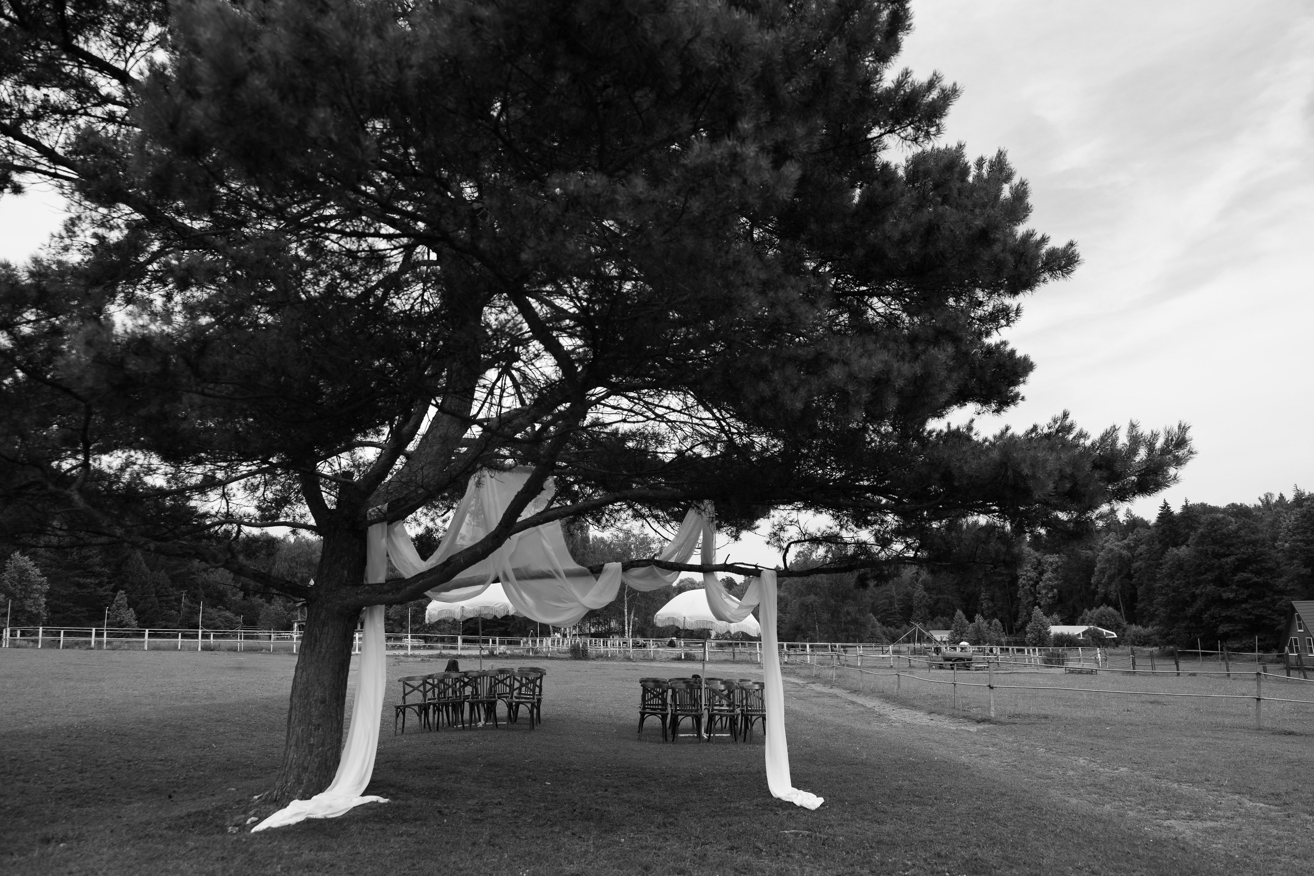 Артур и Таисия. Свадебный фотограф Тула Москва СПБ / Сёмина Дарья