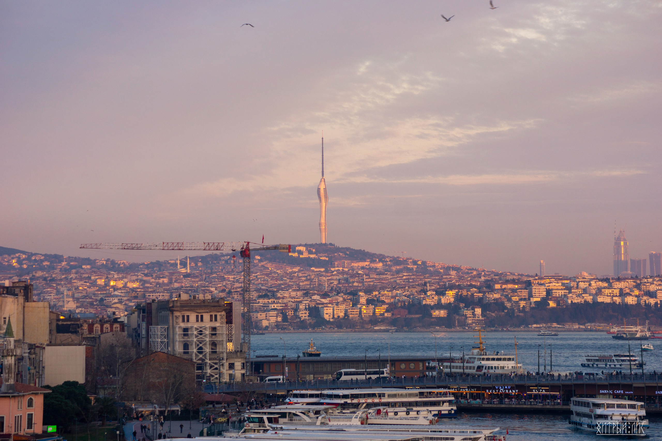 Стамбул. Фотограф-путешественник Самойлов Максим «Sly Fox»