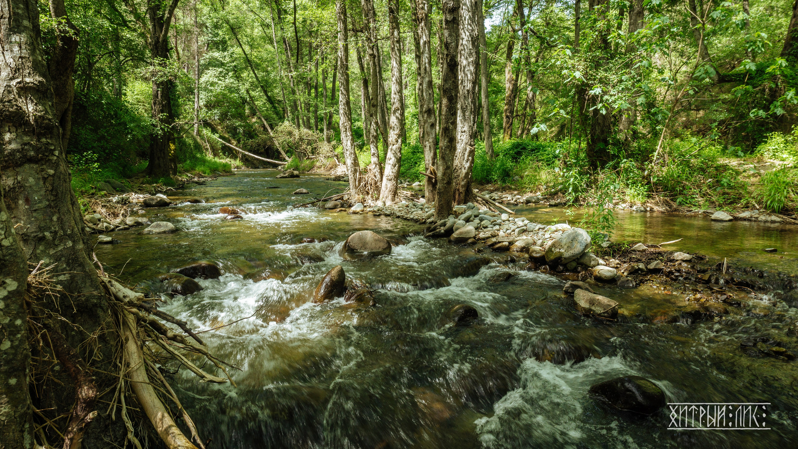 Кипр. Фотограф-путешественник Самойлов Максим «Sly Fox»