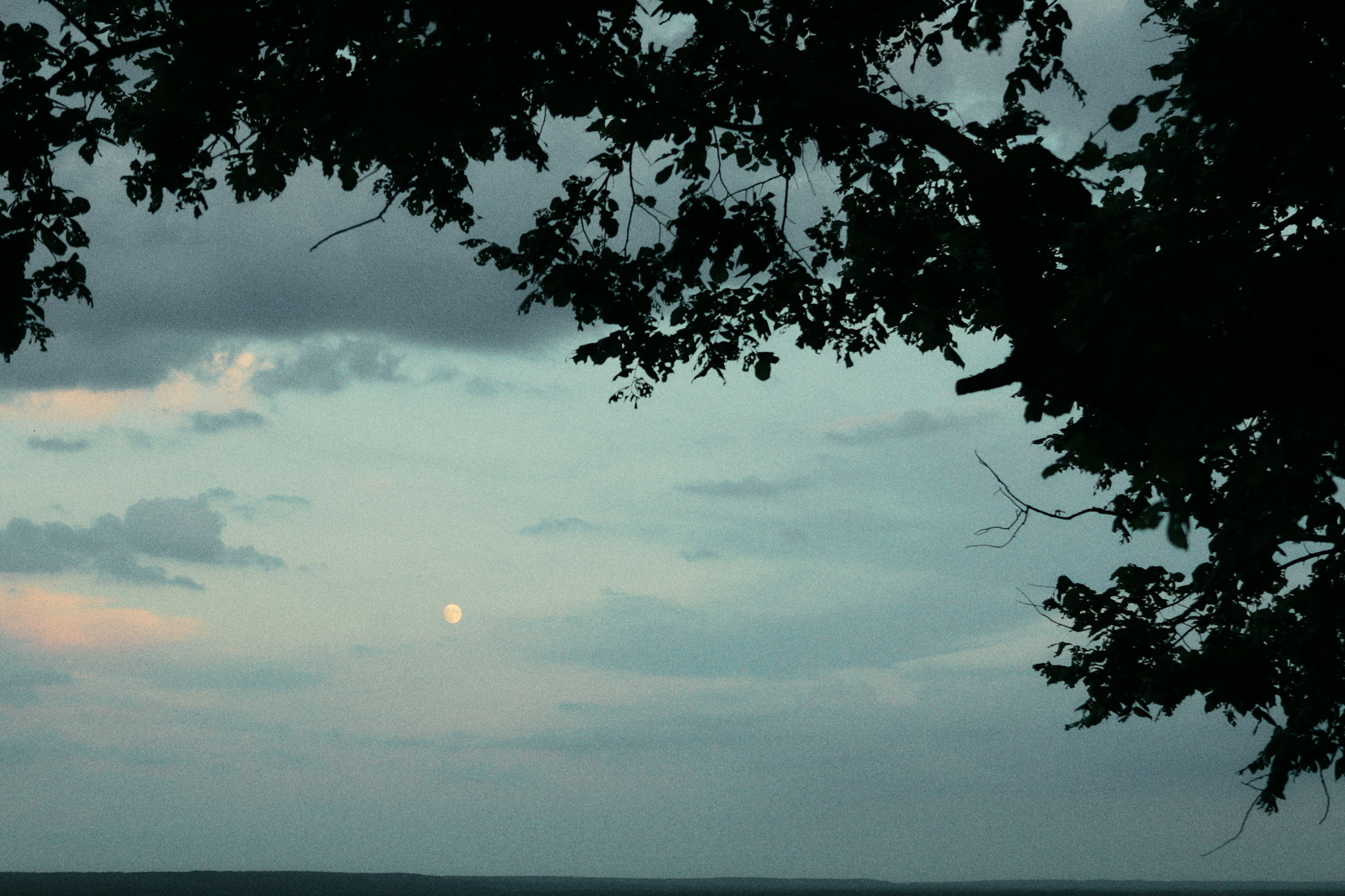 Атмо. Фотограф во Владимире, Москве и Суздале — Полина Романычева