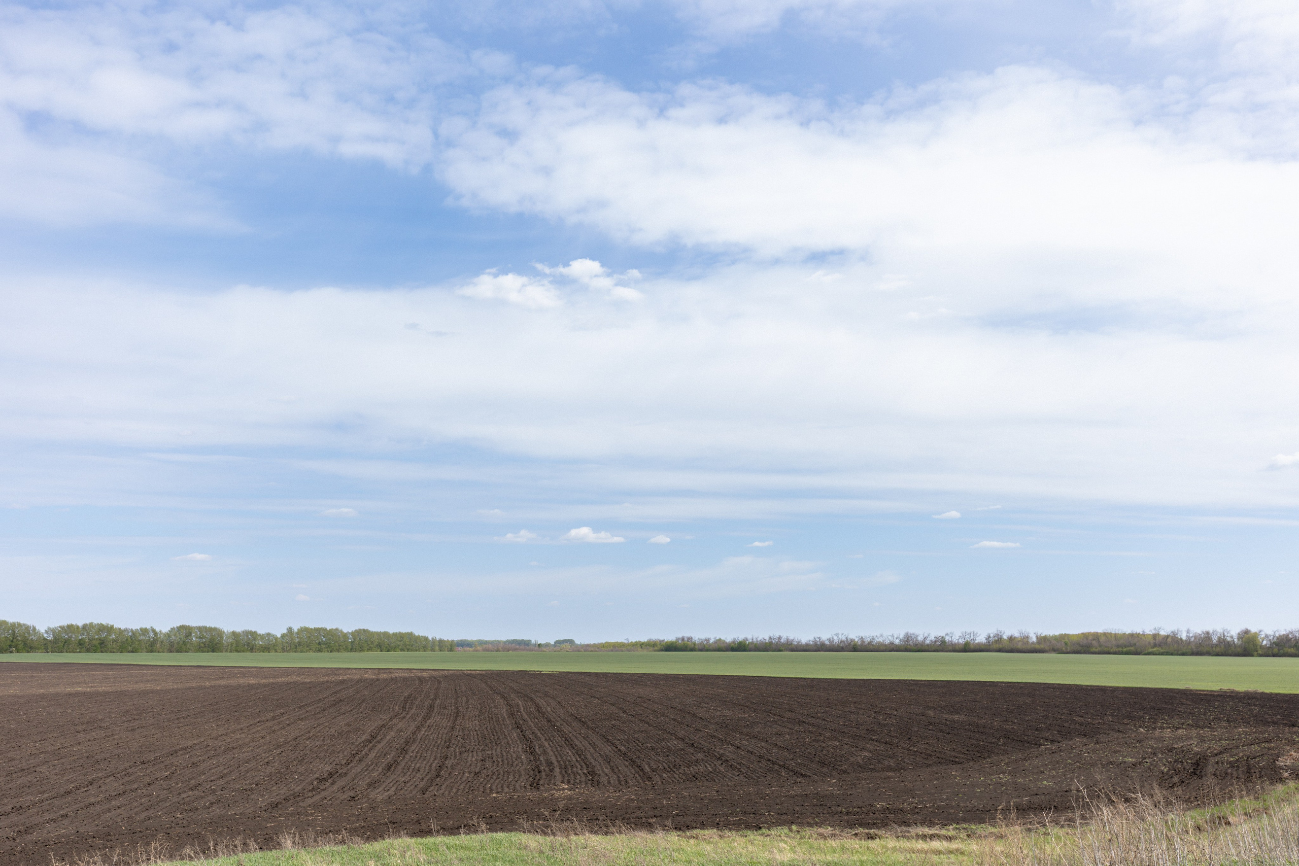 Земельный участок с объектами на нём. Владислав Волков | Фотография и видеосъемка в Воронеже
