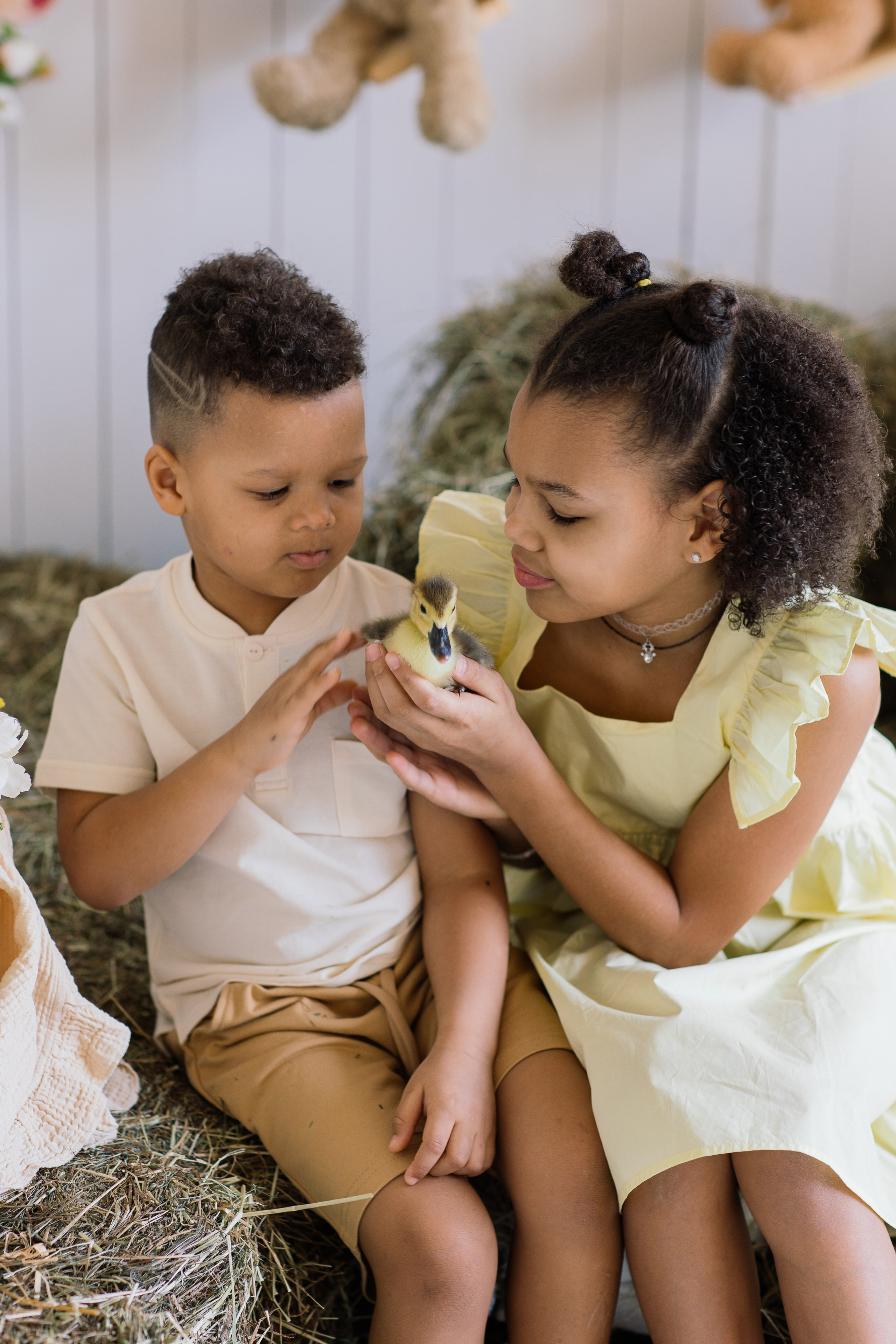 Адриан, София и Ника. Семейный фотограф Толстикова Кристина