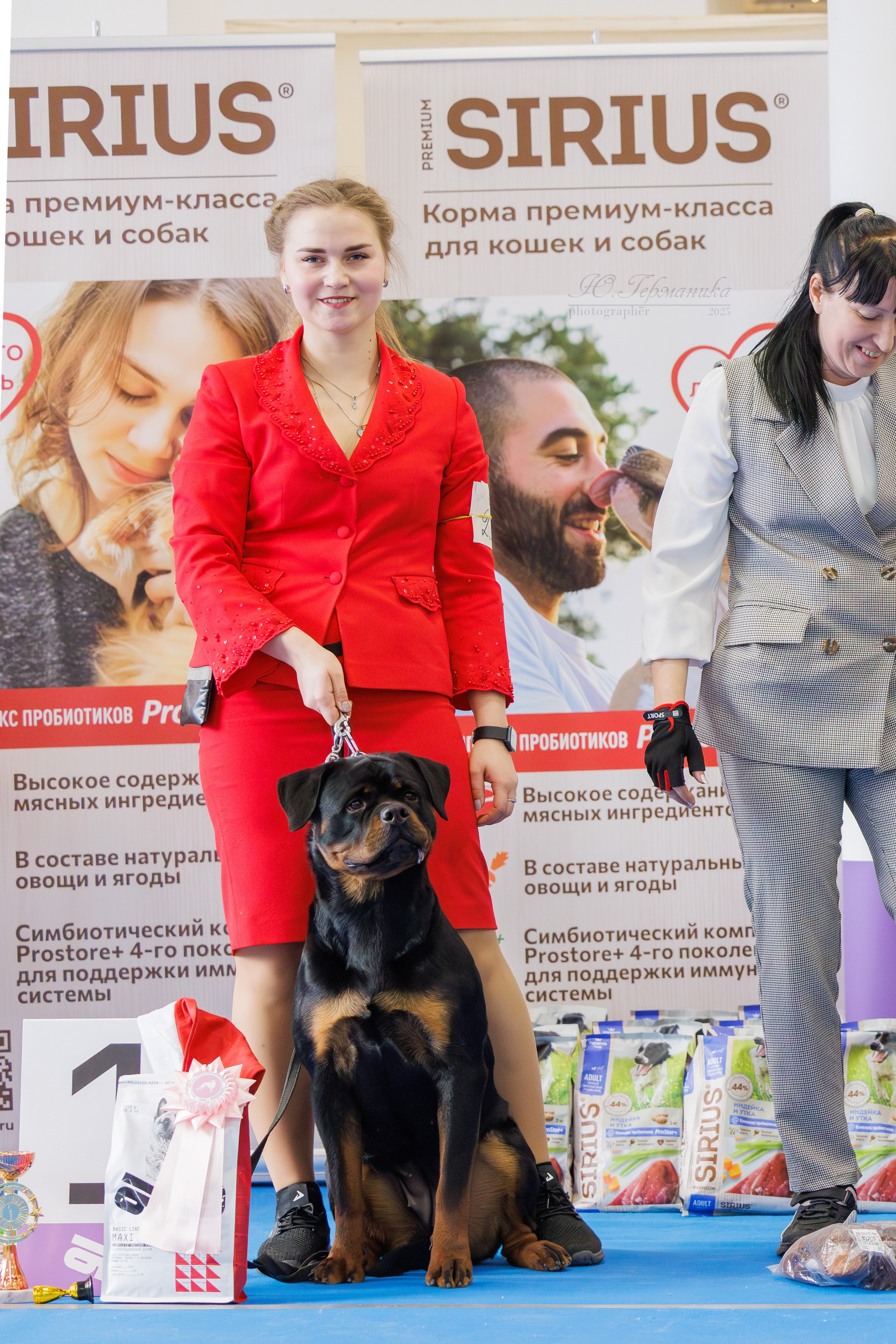 Питер ротвейлеры 18.01,Крокус 19.01.2025. Фотограф-анималист Юлия Германика