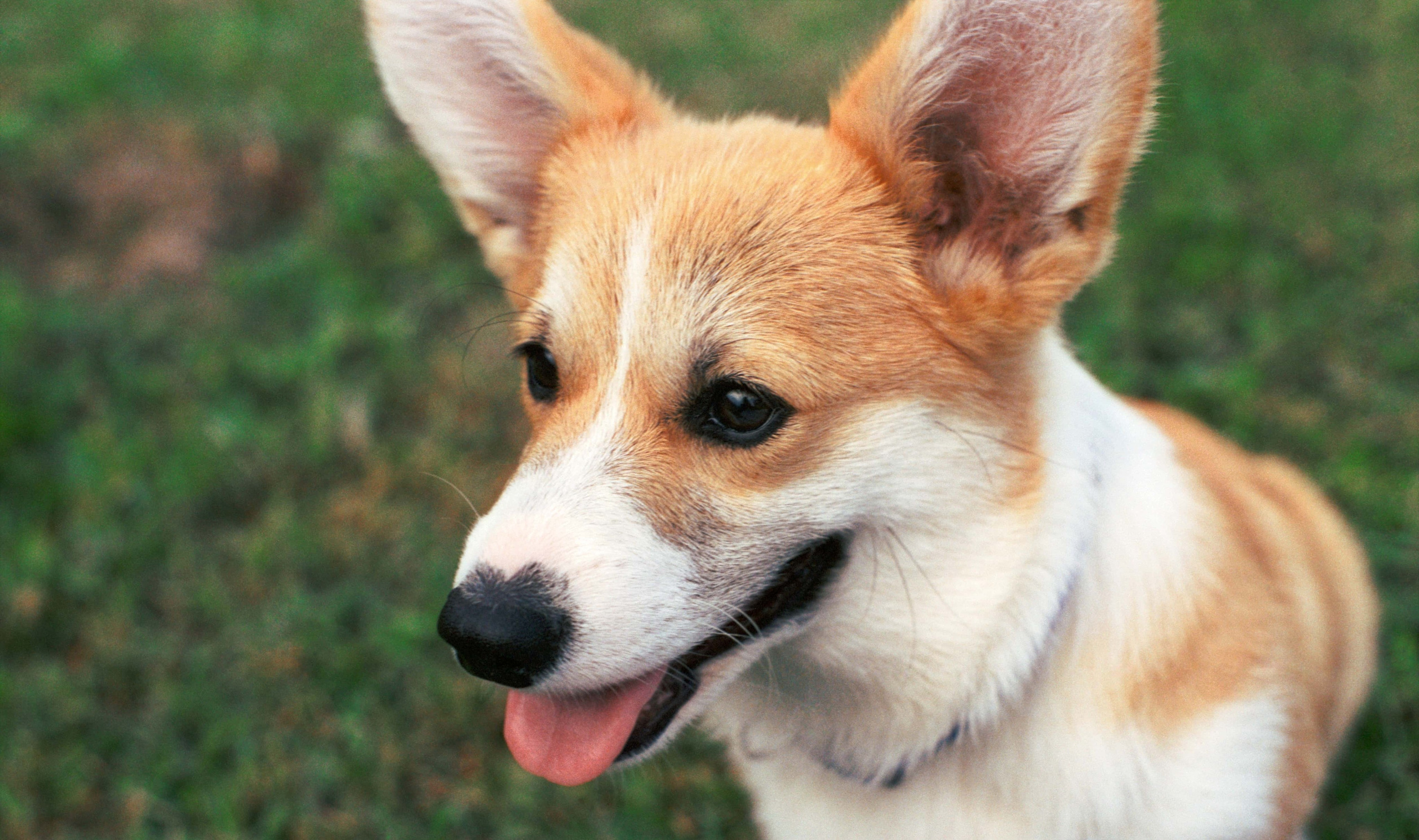 E&V&G. Stylist and film photographer Anastasia Shlokova