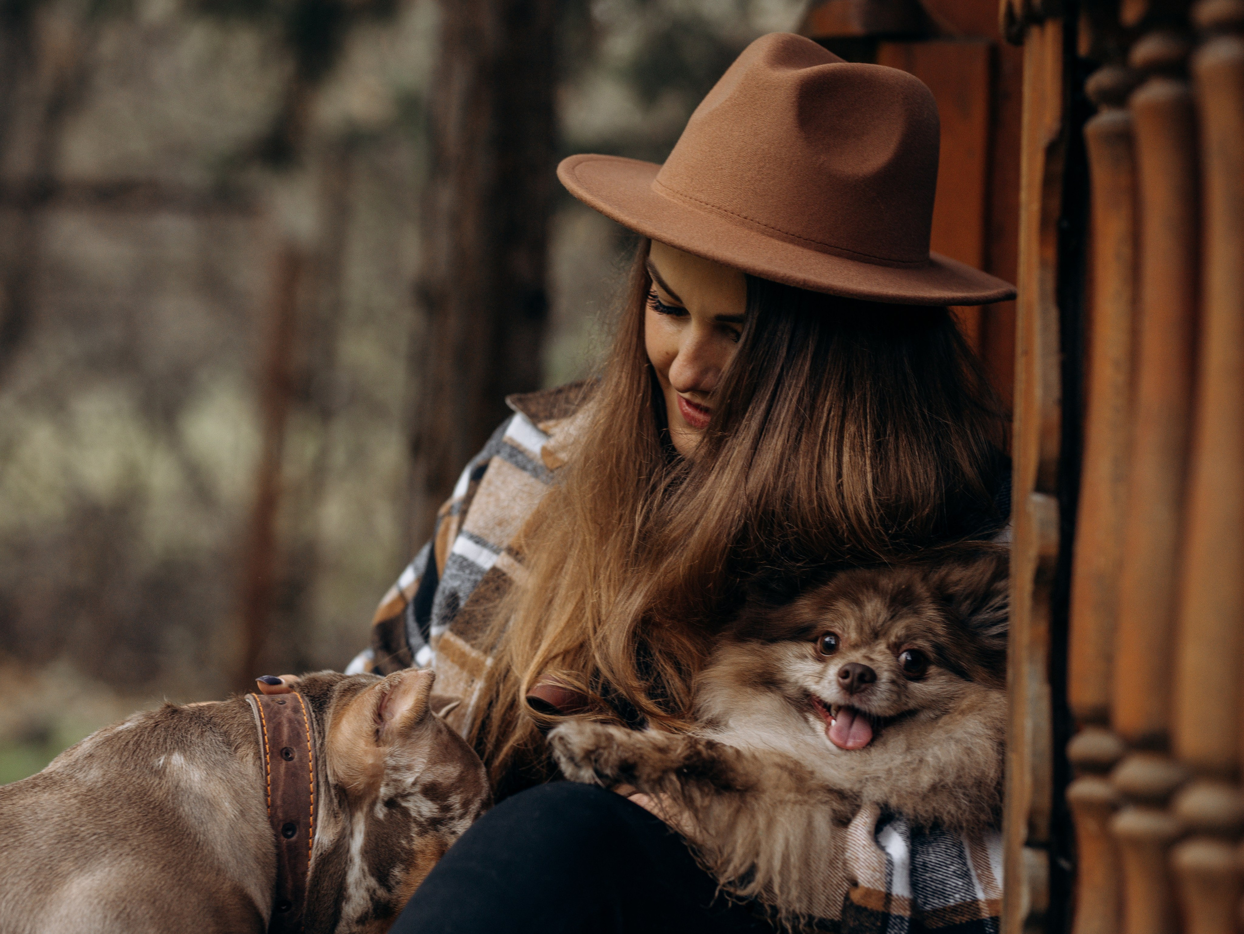 Скай, Марти и Катя. Фотограф-анималист в Москве Кириллова Татьяна