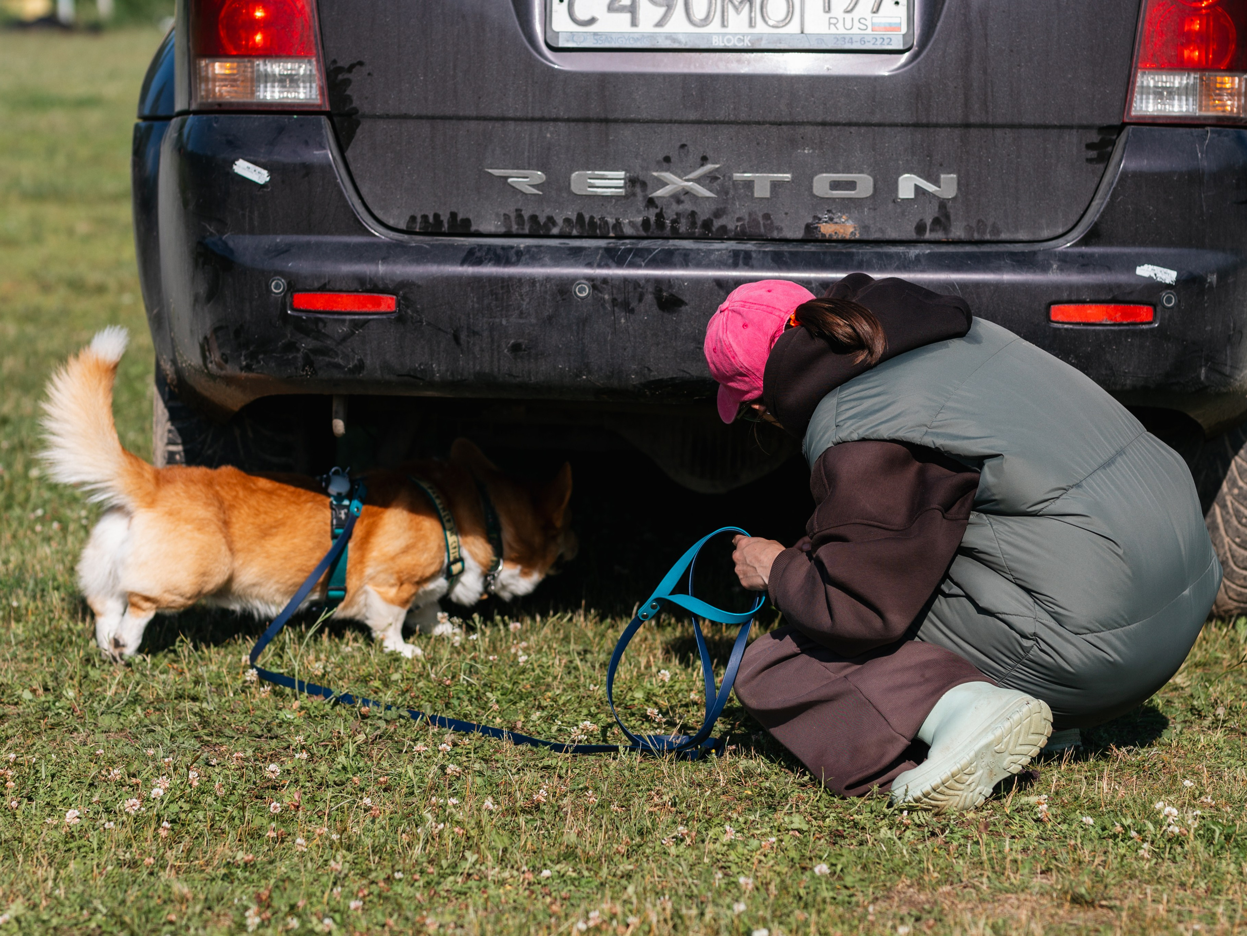 Лагерь ноузворк. Фотограф-анималист в Москве Кириллова Татьяна
