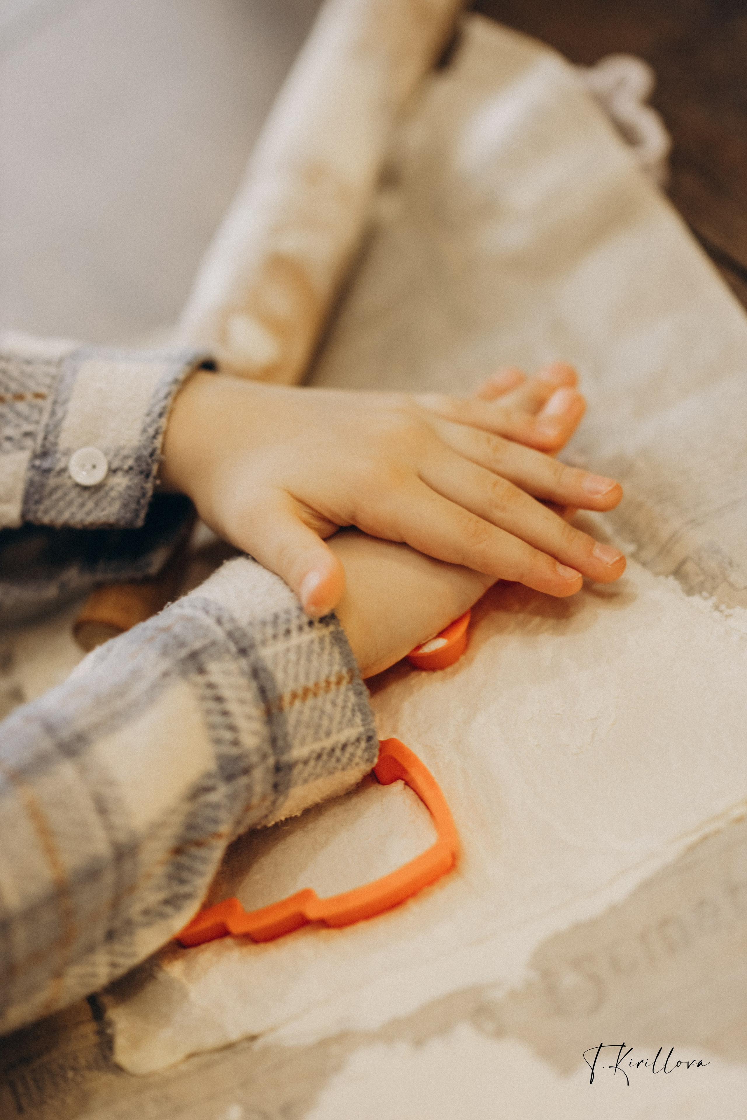 Новогоднее утро. Фотограф-анималист в Москве Кириллова Татьяна