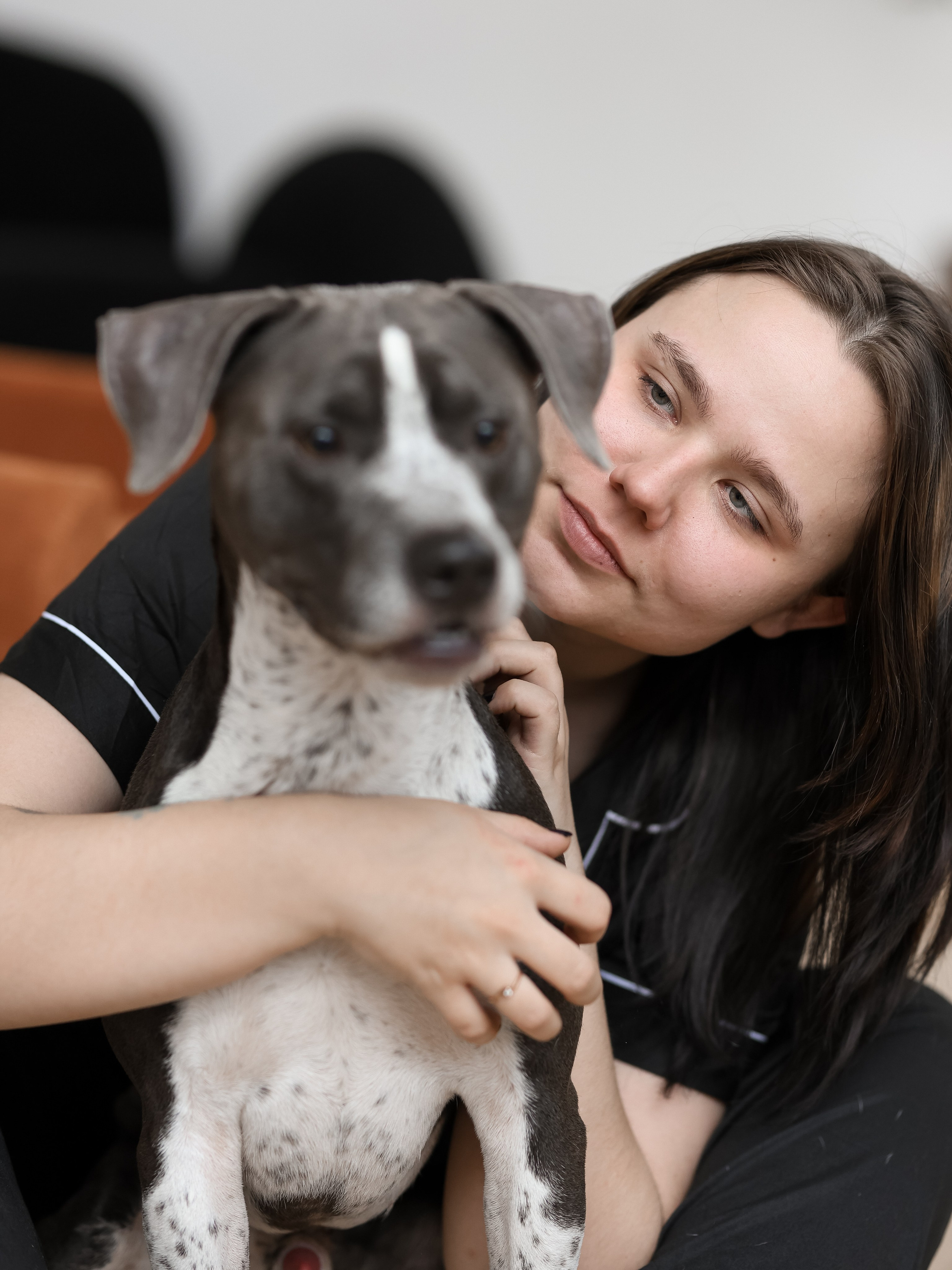 Тортик Даша и Никита. Фотограф-анималист в Москве Кириллова Татьяна