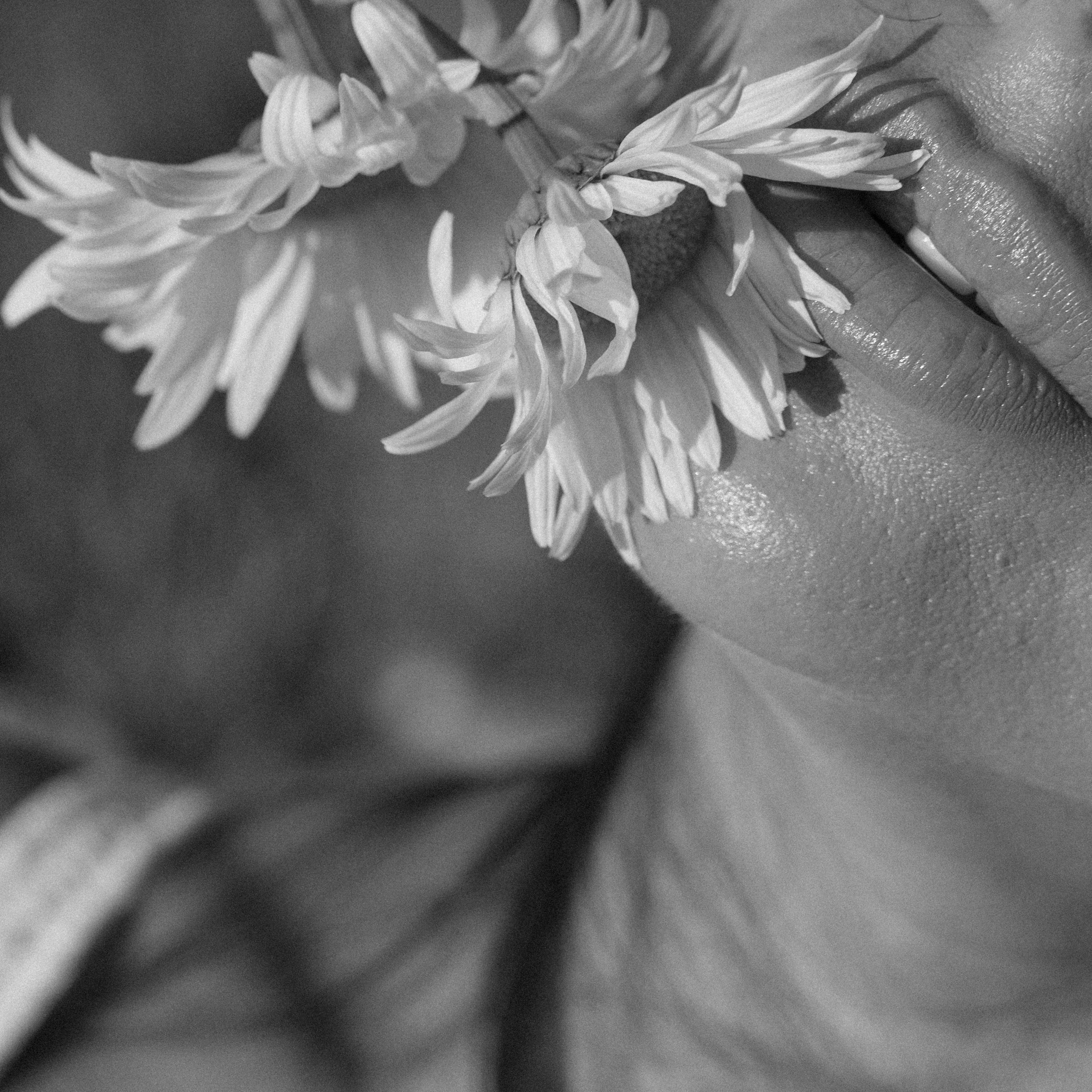 Евгения. Свадебный и семейный фотограф Диана Лбова. Чебоксары