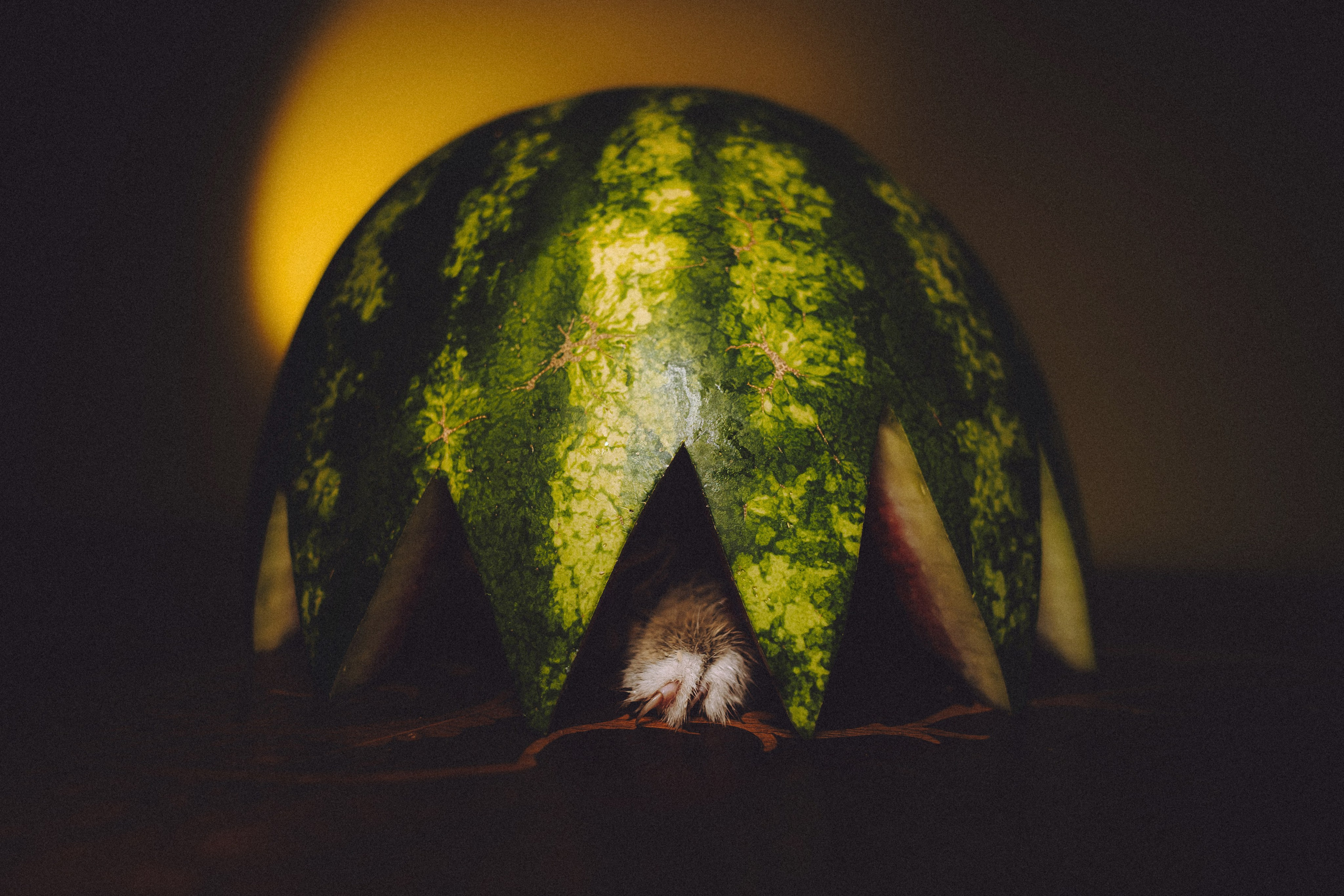 Сирена и арбуз