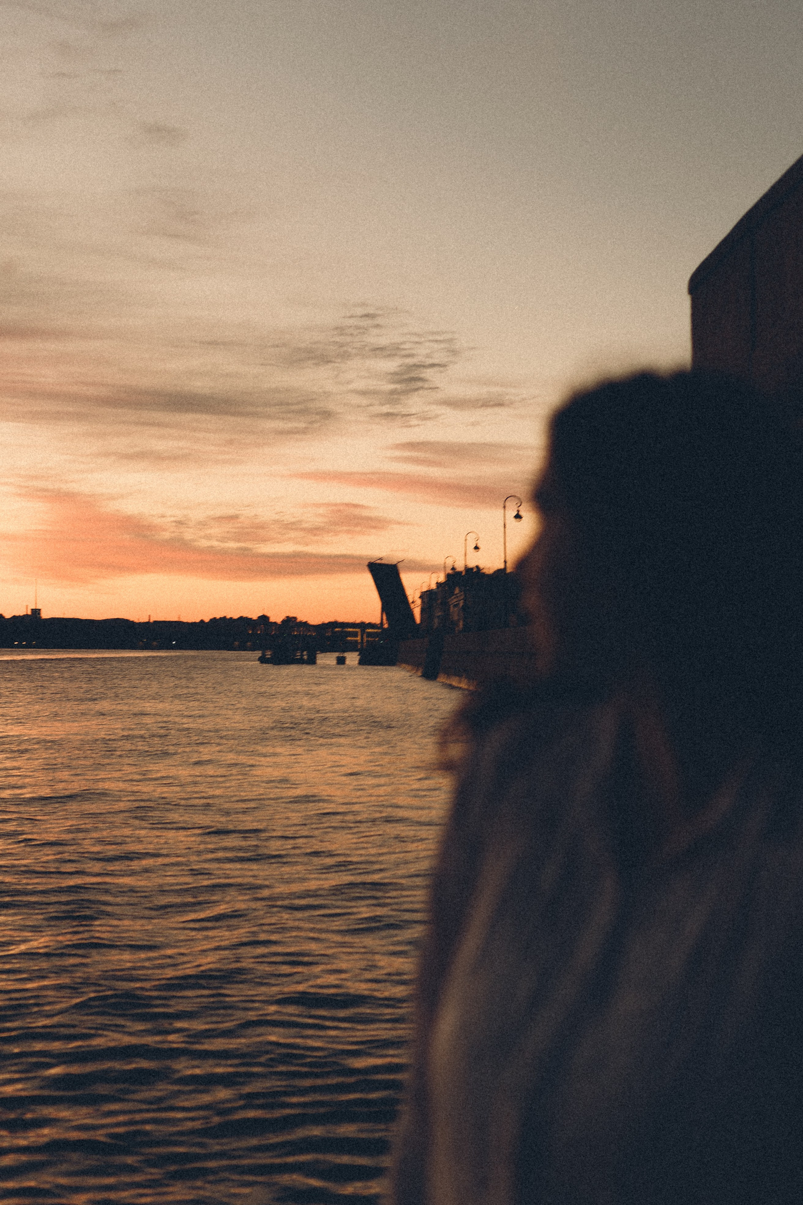 РАССВЕТ С РАЗВОДНЫМИ МОСТАМИ. Профессиональный фотограф, Санкт-Петербург — Виктория Богомолова