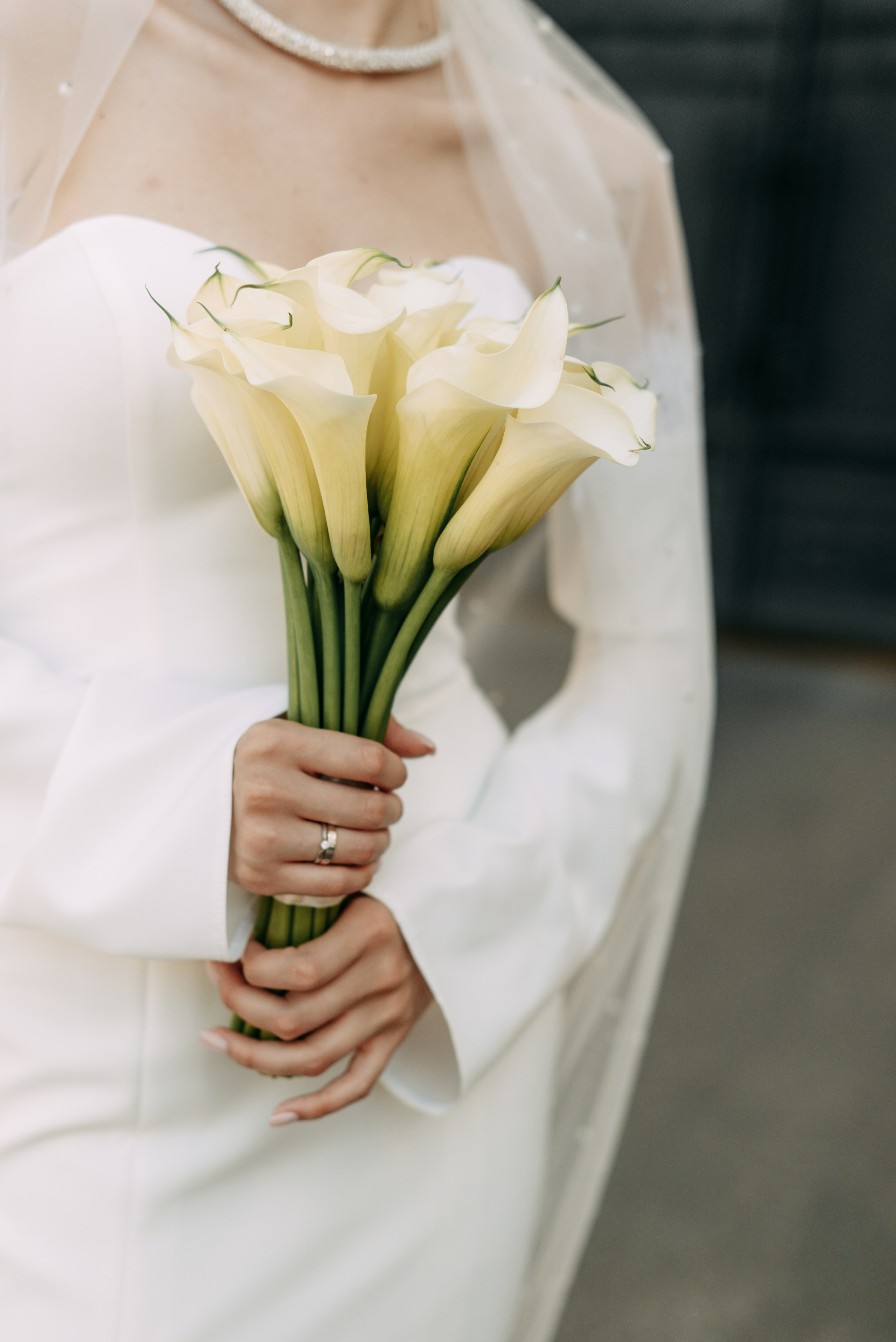 Вероника и Александр. Свадебный фотограф, фотограф беременности Дарья Доценко