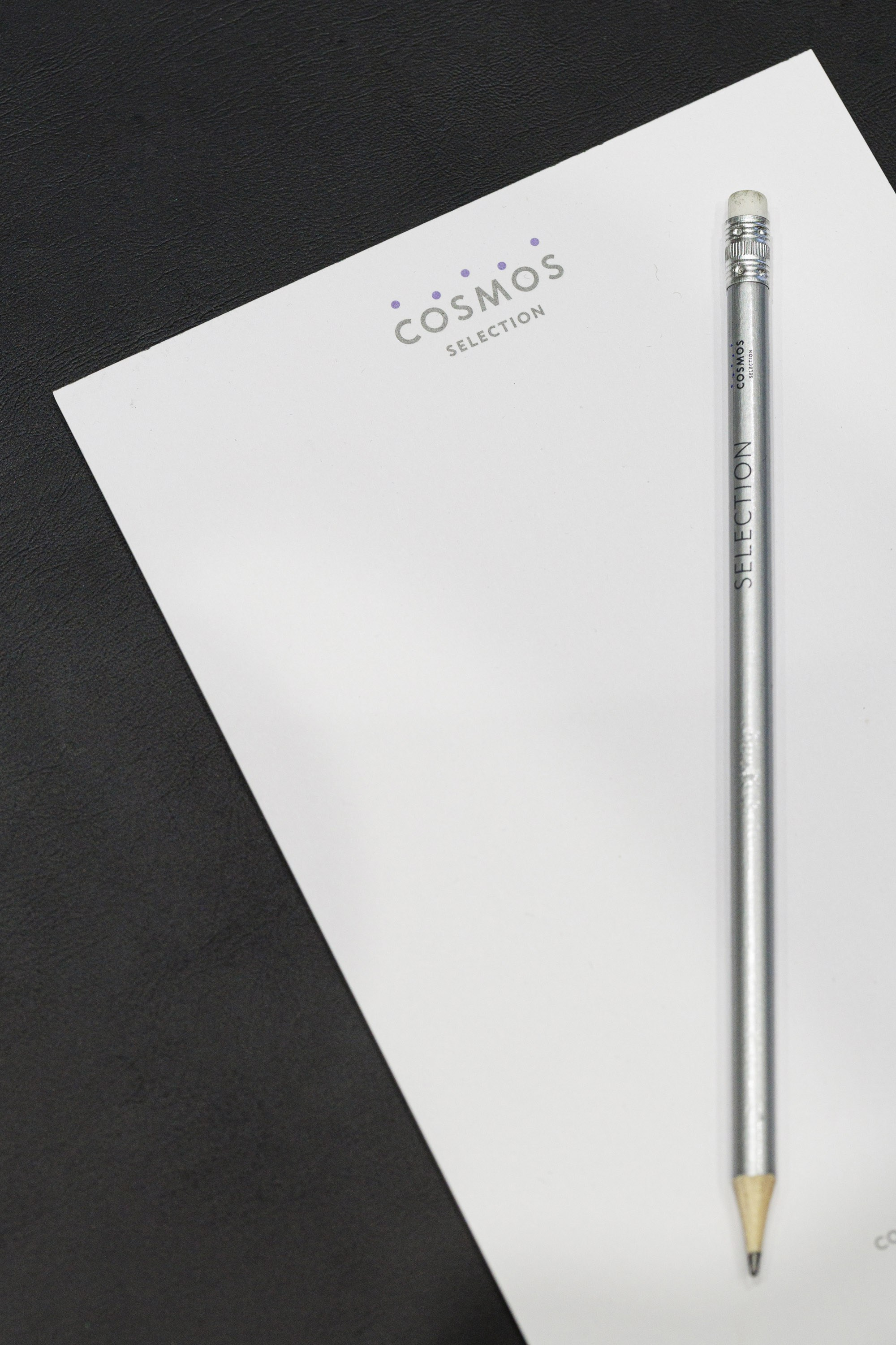 Cosmos Selection Moscow Sheremetyevo Airport Hotel