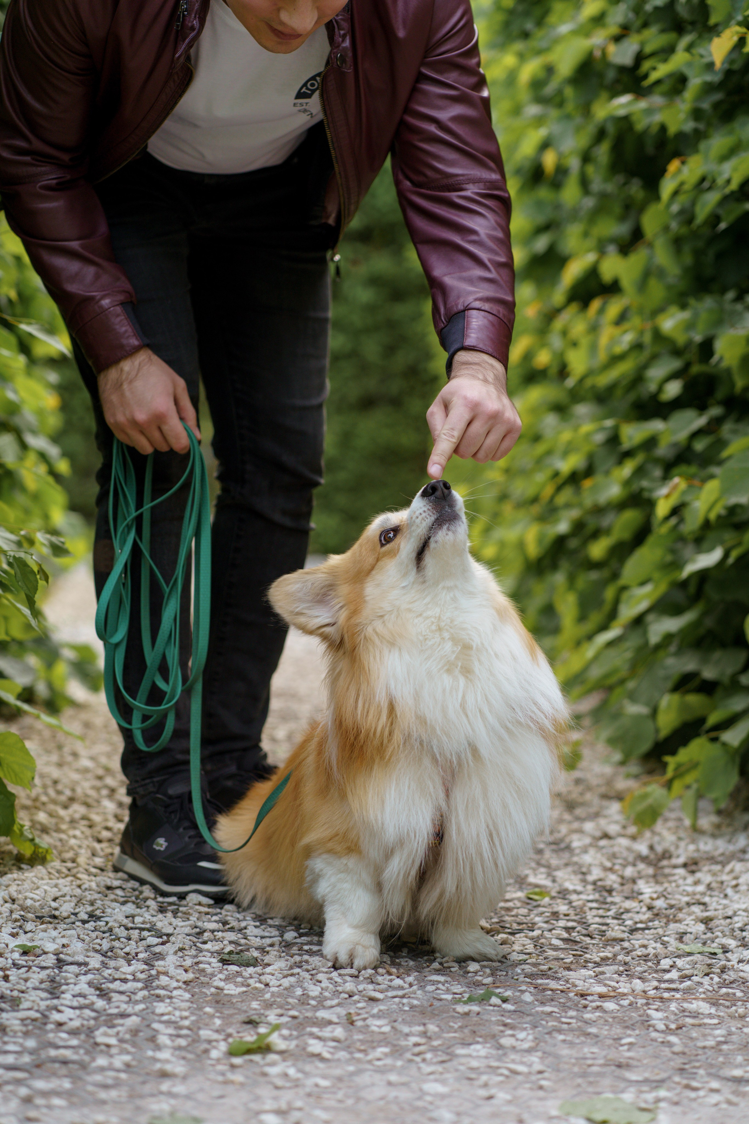 Катя, Арсений и Пух. Свадебный фотограф в Москве Анна Полушина
