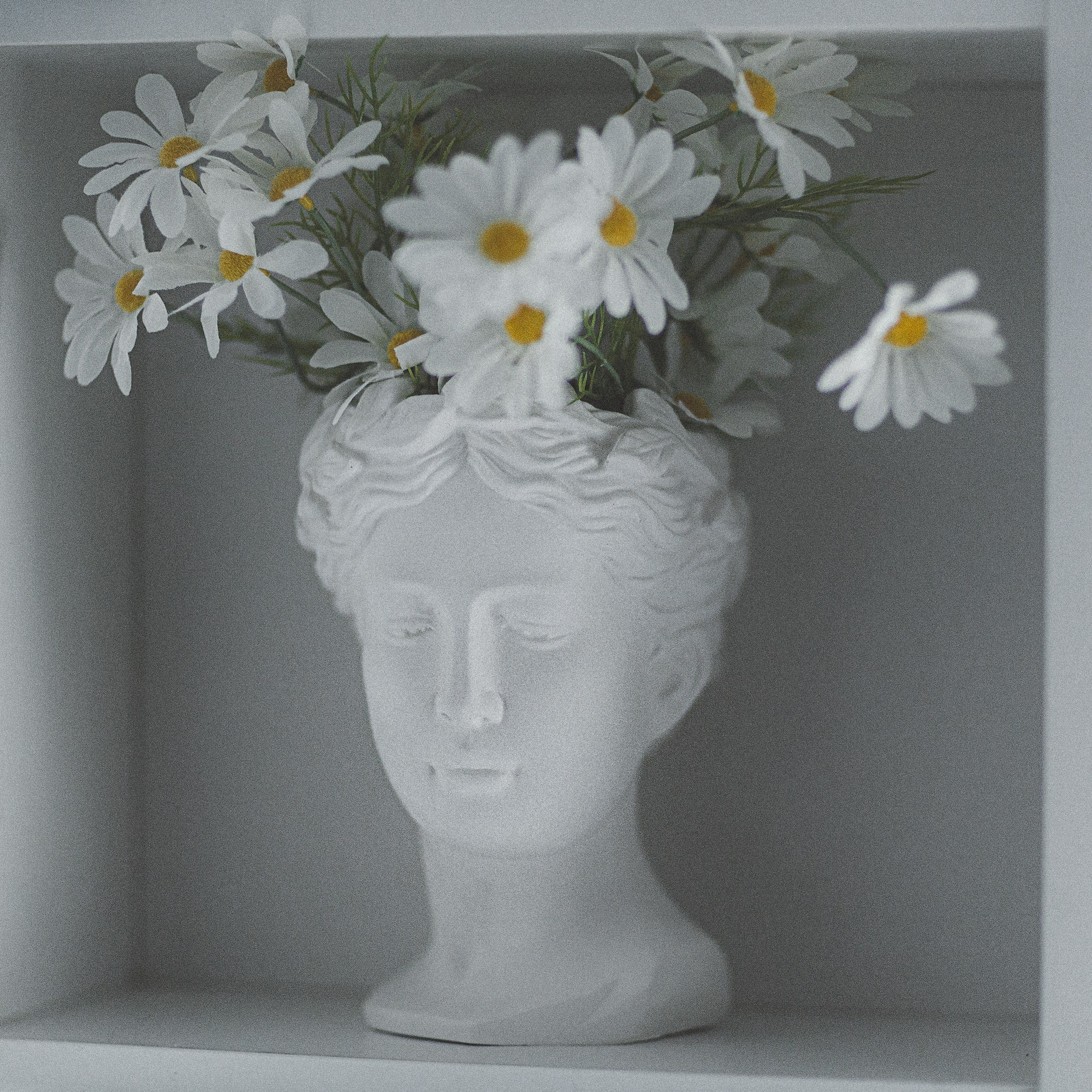 Проект «366»|2024|Фото каждый день. LENA GRACE photographer ||ЛЕНА ГРЭЙС фотограф