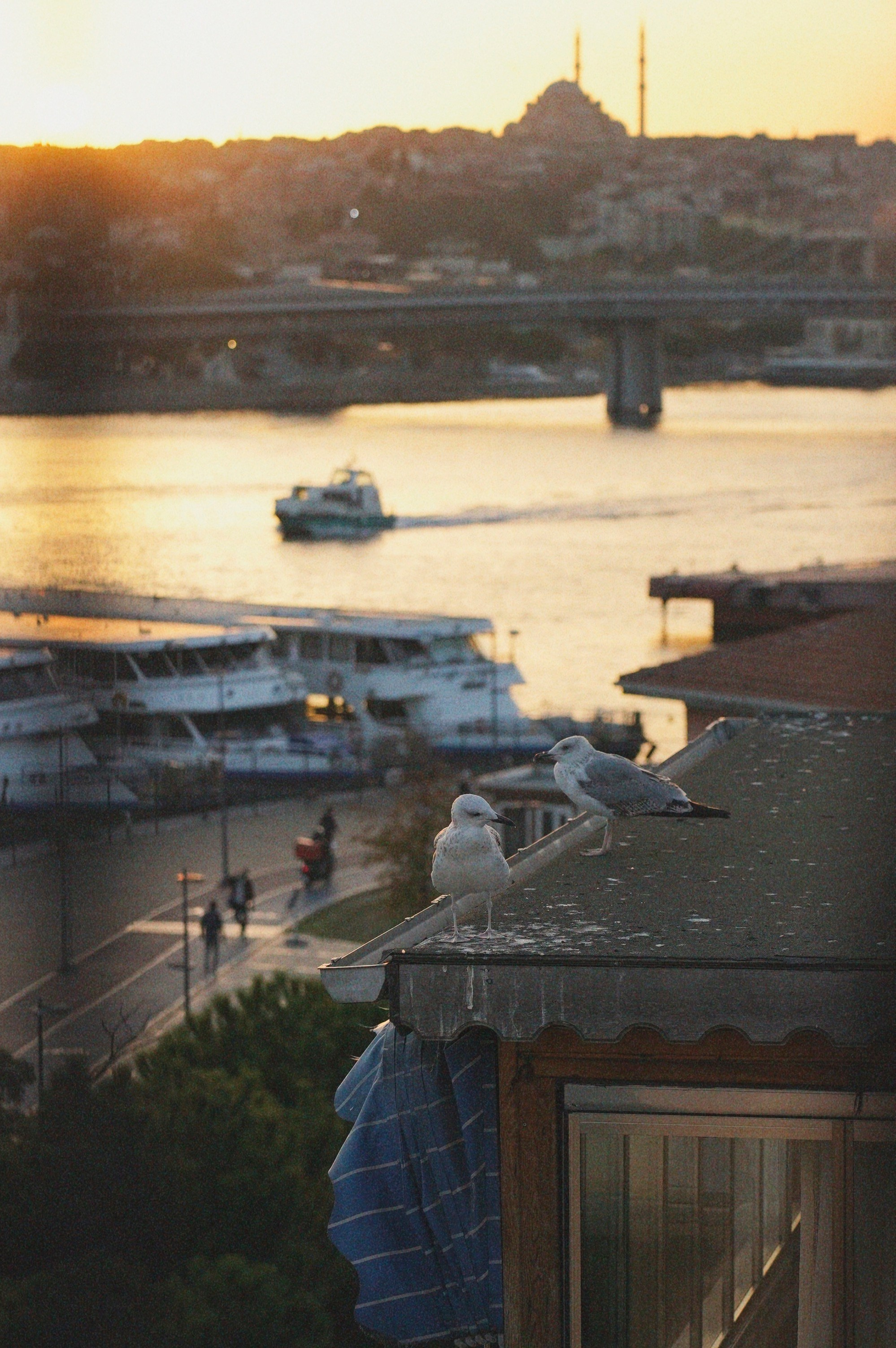 Стамбул. Главная