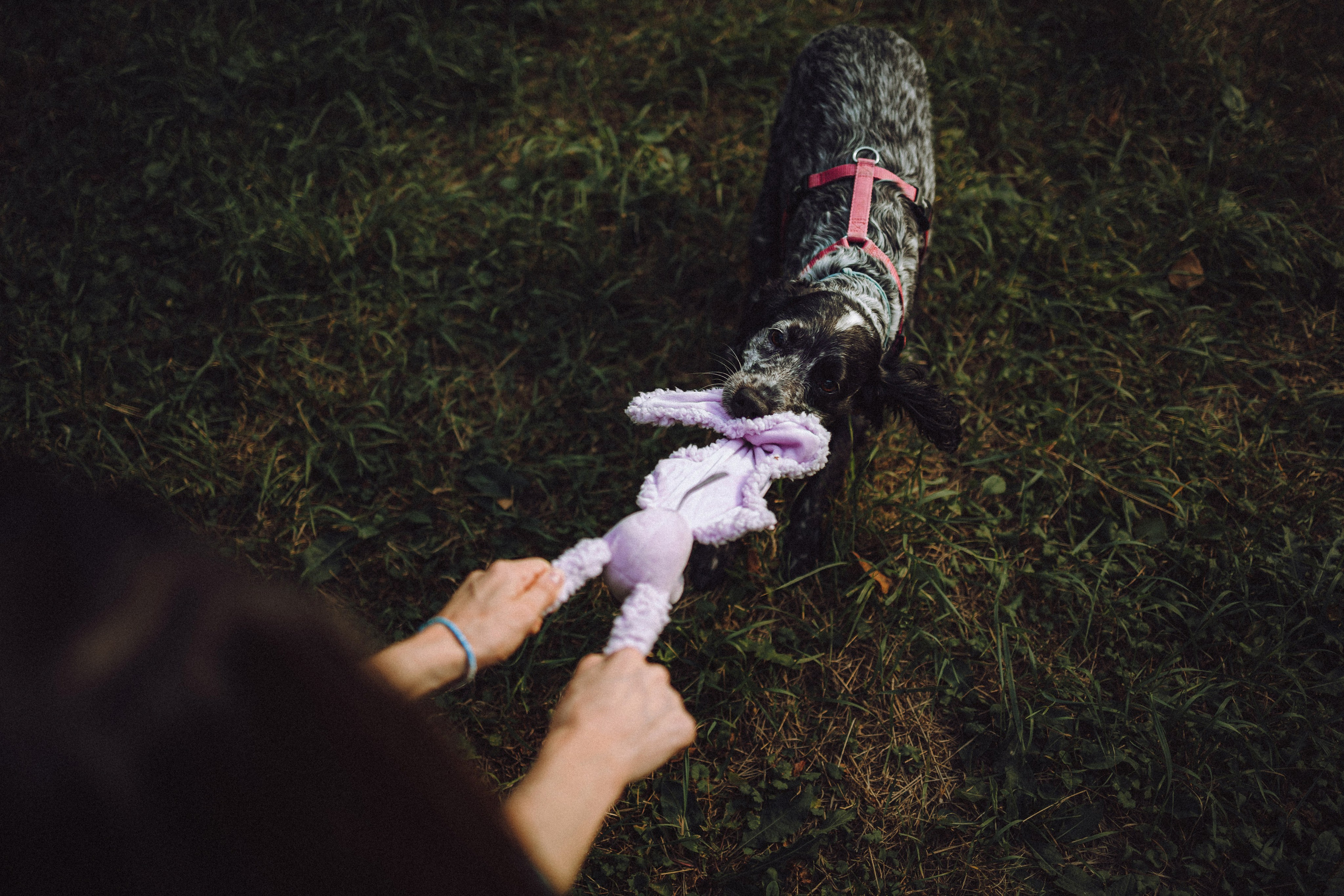 Маша и Ларри