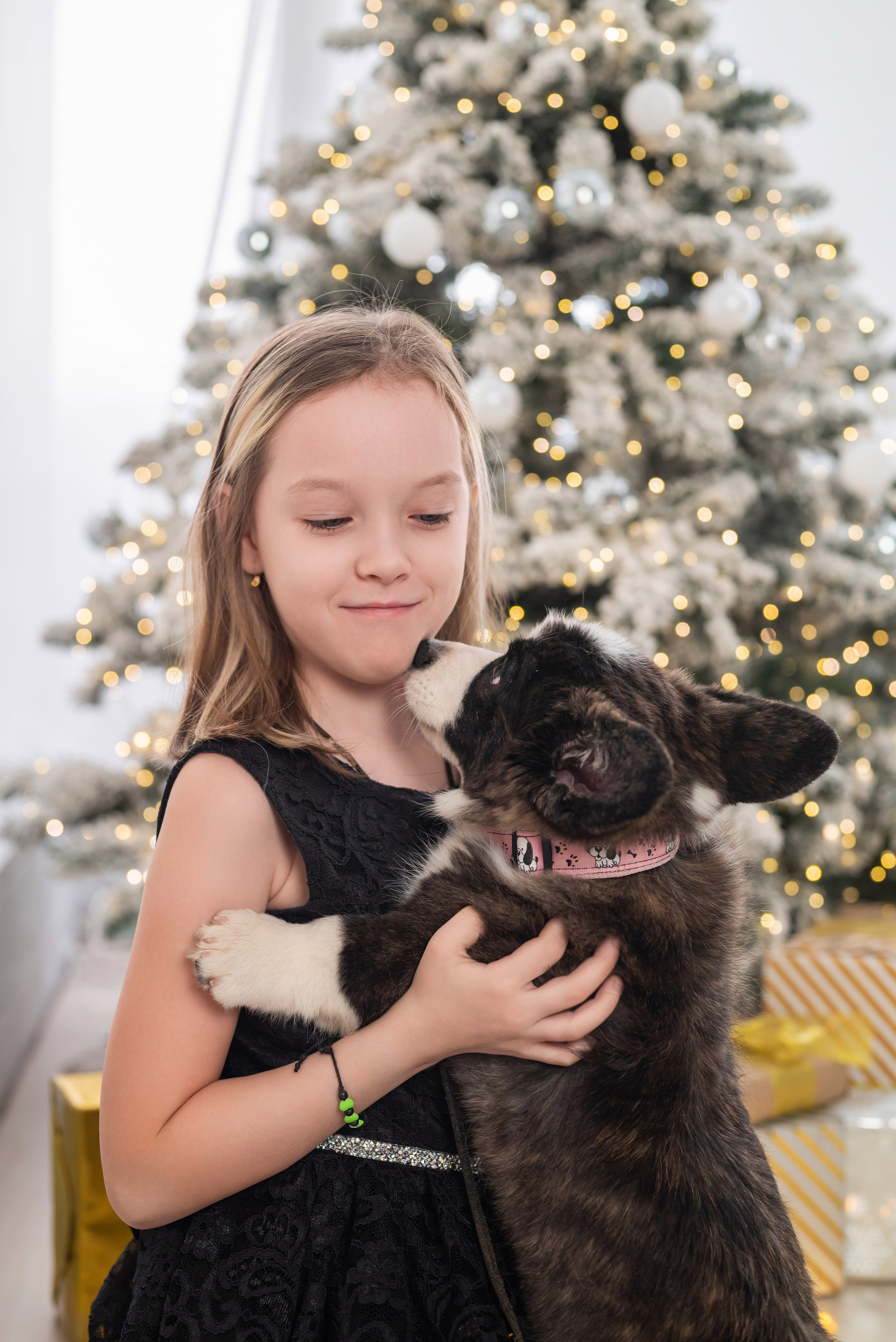 Фотопроект с корги. Фотограф в городе Салават