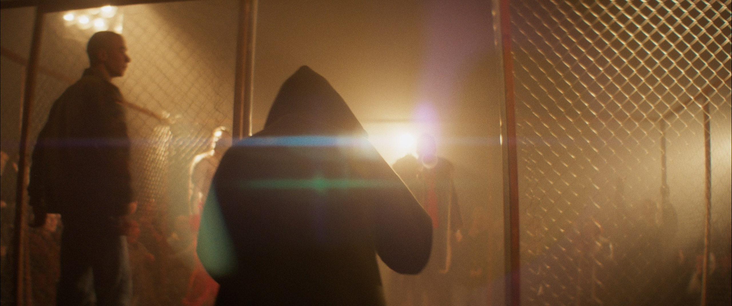 Мяу! (short film). Цветокоррекция видео онлайн Иван Сержанов