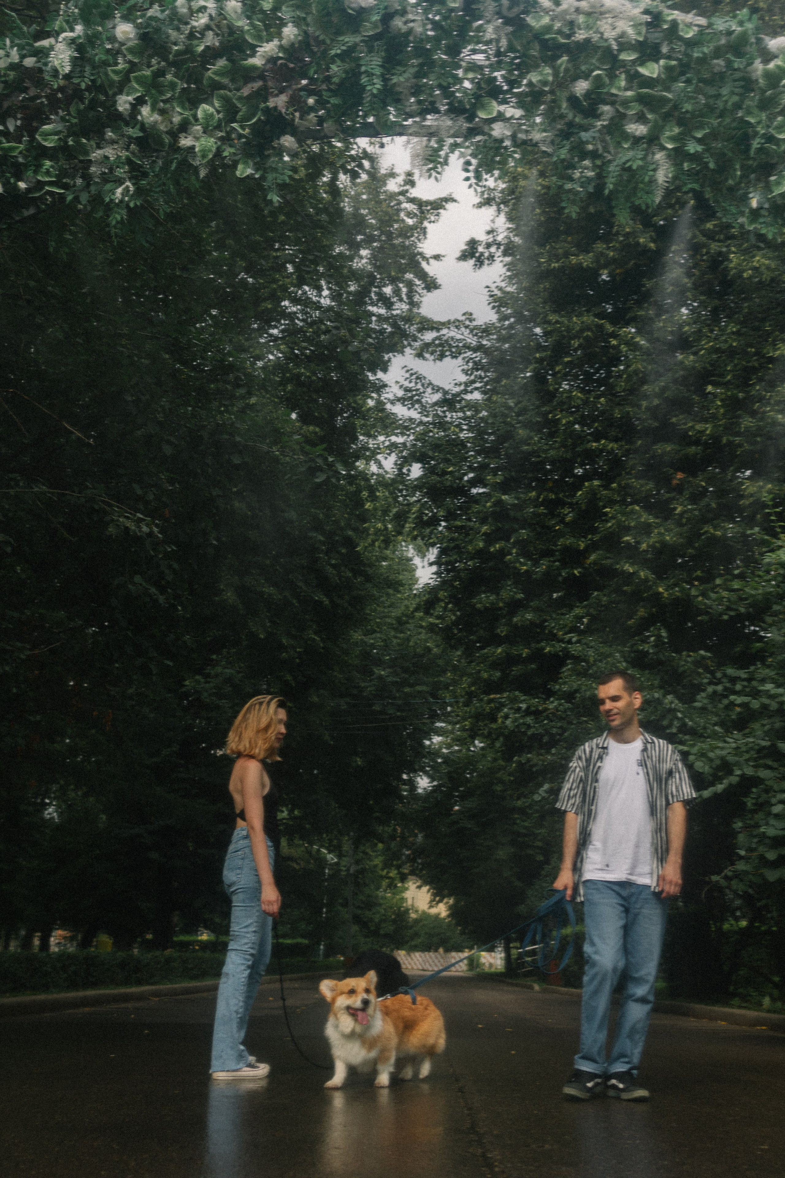 Брюс, Вейв и их ро. Фотораф — анималист Мария Шистка