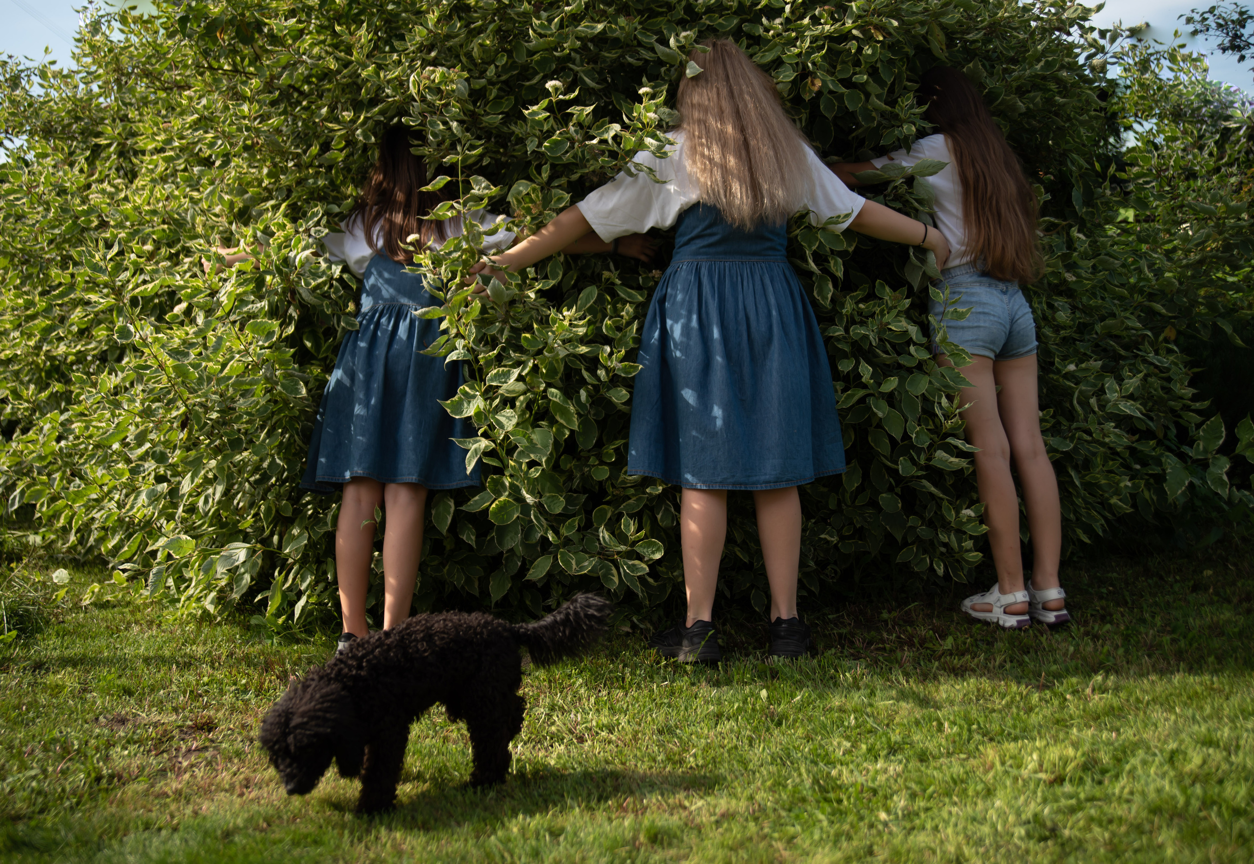 Детский и семейный фотограф в Новокузнецке Наталья Сорокина