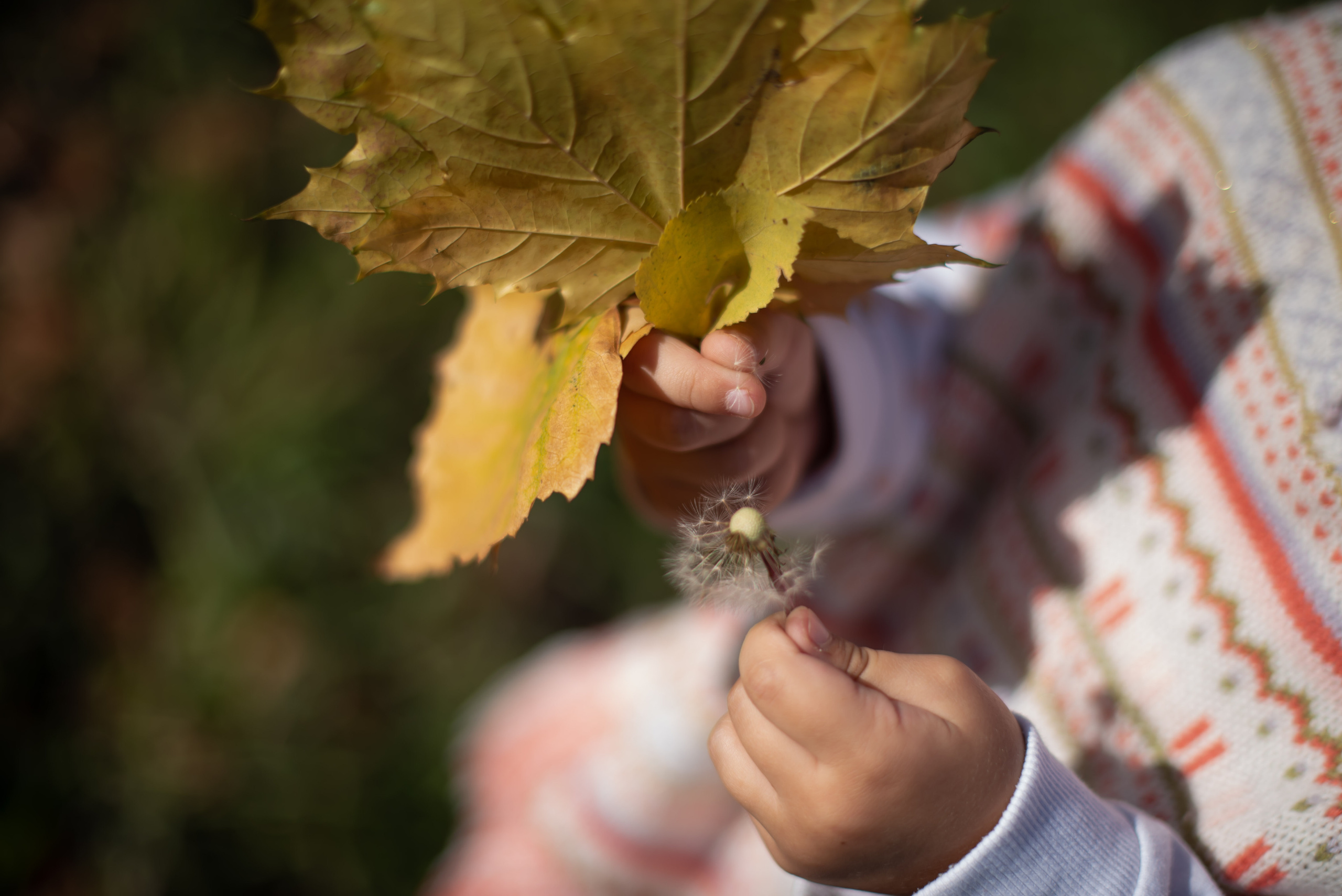 Детский и семейный фотограф в Новокузнецке Наталья Сорокина