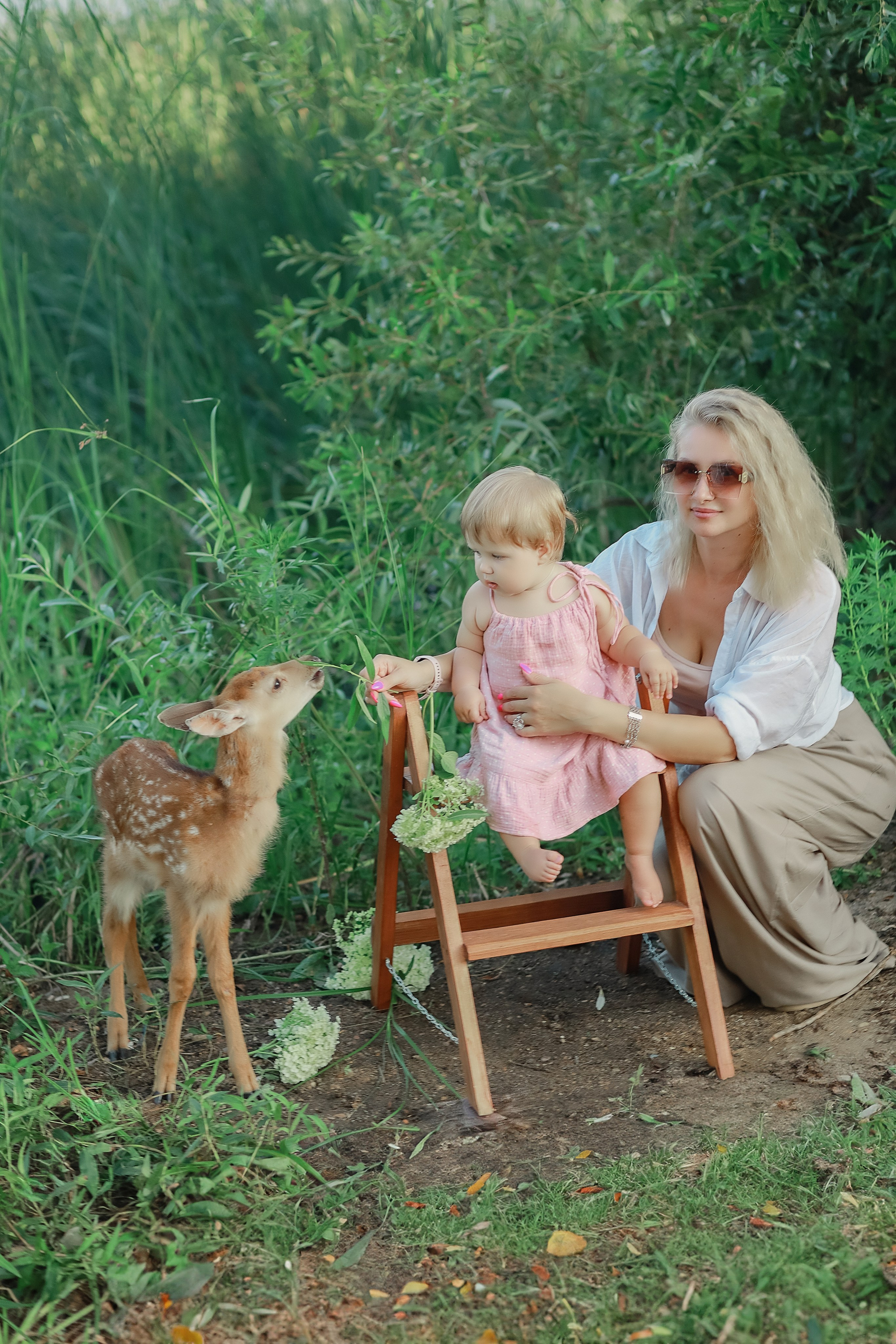 Семейная съемка с Бэмби. Иванова Ирина Свадебный и семейный фотограф г. Уфа