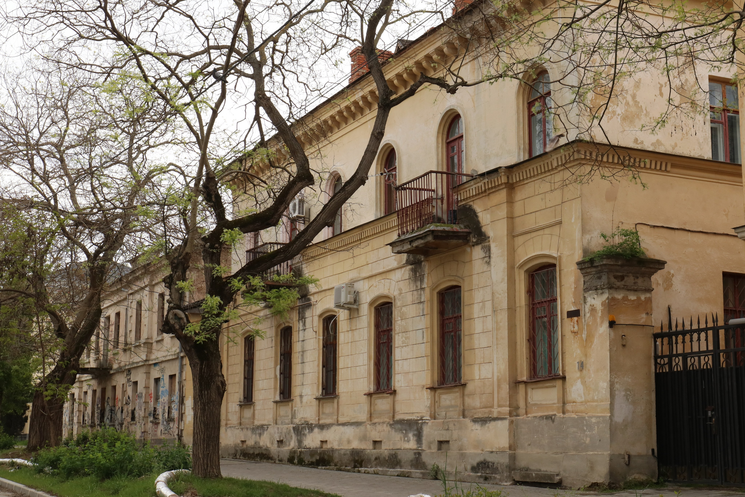 Крым. ЮБК (Севастополь, Кастрополь, Ялта). Май 2023. Путешественник-фотограф из Санкт-Петербурга Татьяна Свистулина