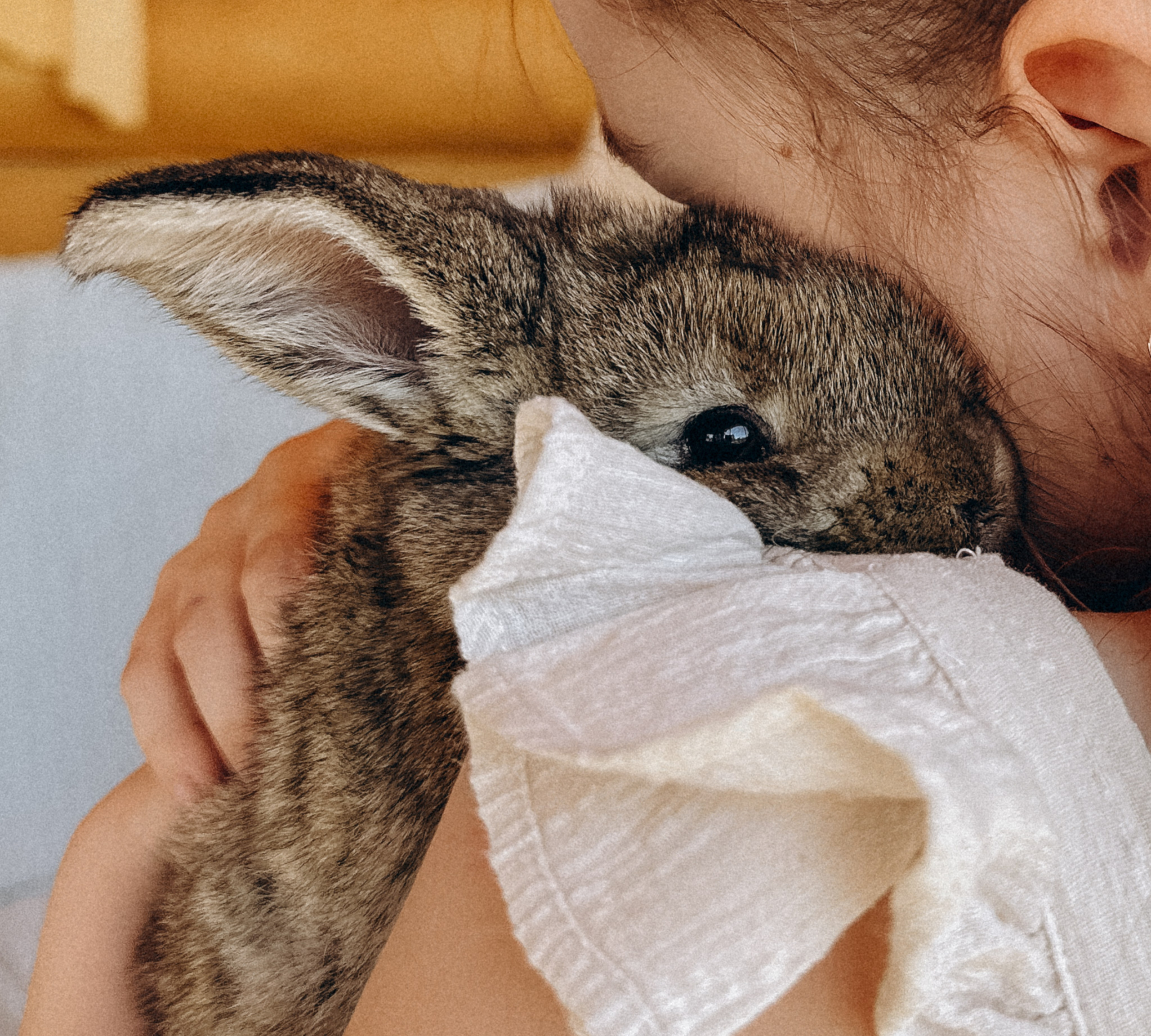 УШАСТАЯ ИСТОРИЯ…. FotoTanya. Раменское/Жуковский/Бронницы