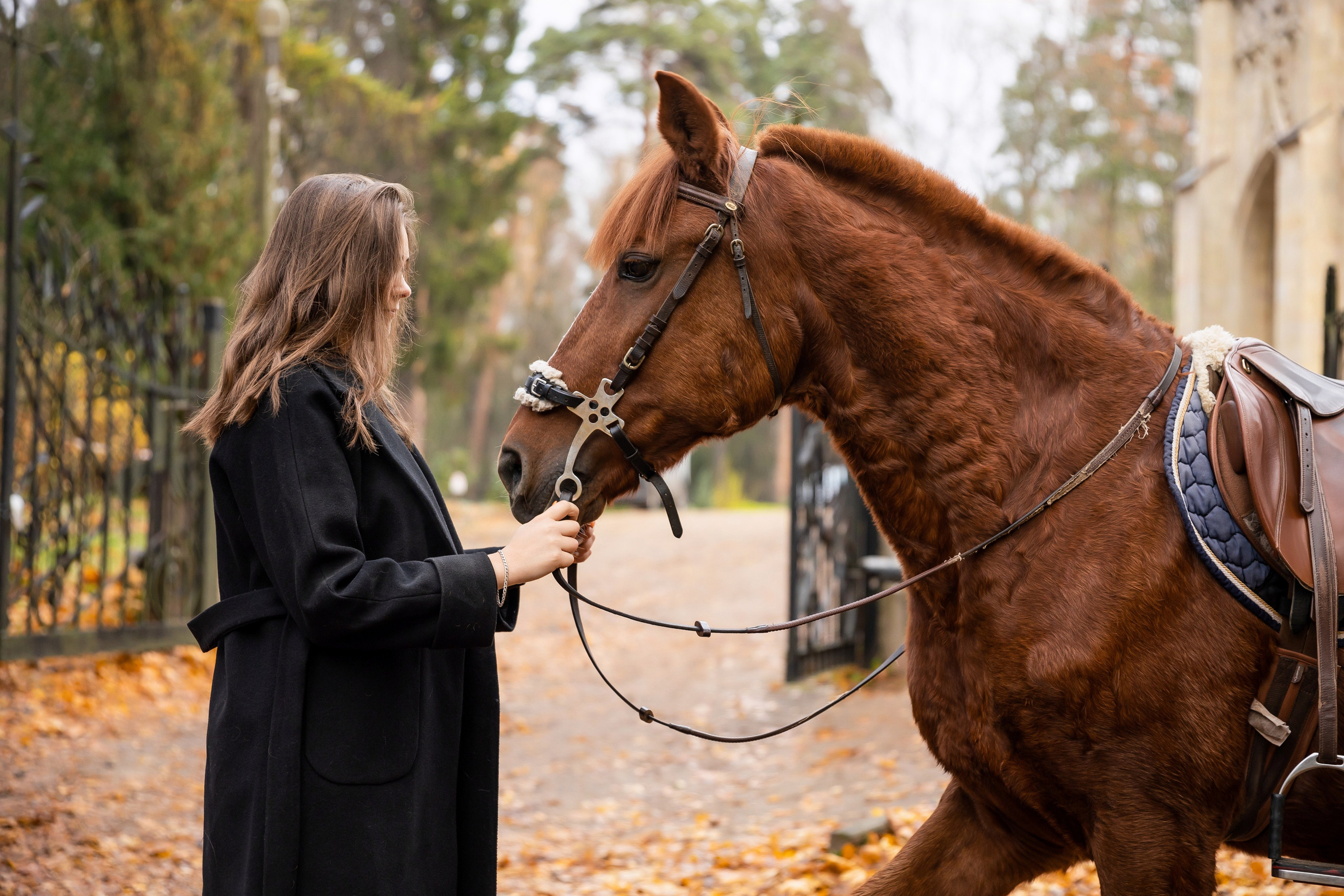 ФОТОСЕССИИ С ЖИВОТНЫМИ. Свадебный фотограф Санкт-Петербург Катерина Ширяева