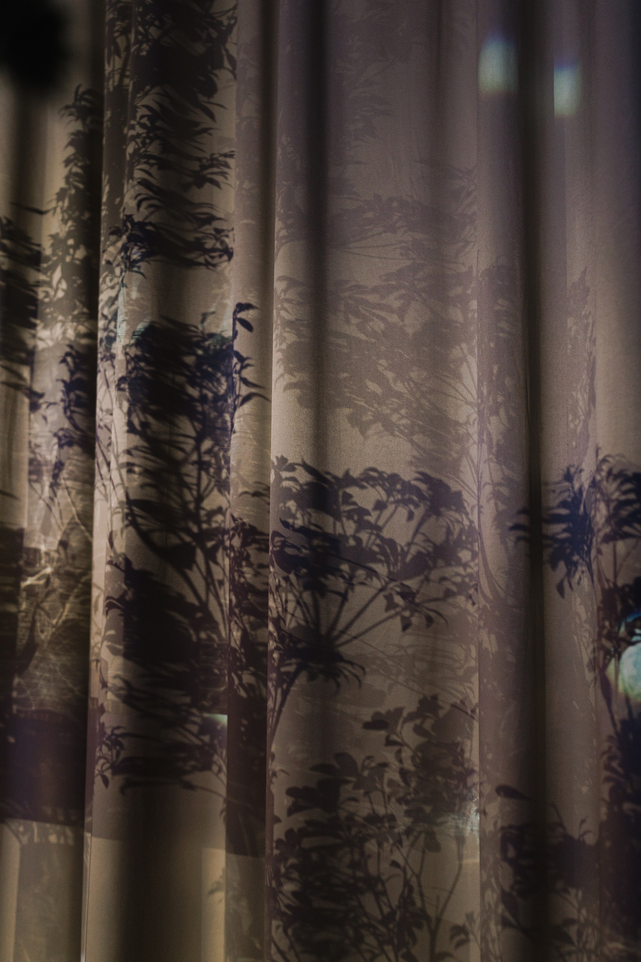 Kamilya & Anas. Свадебный и семейный фотограф в Москве