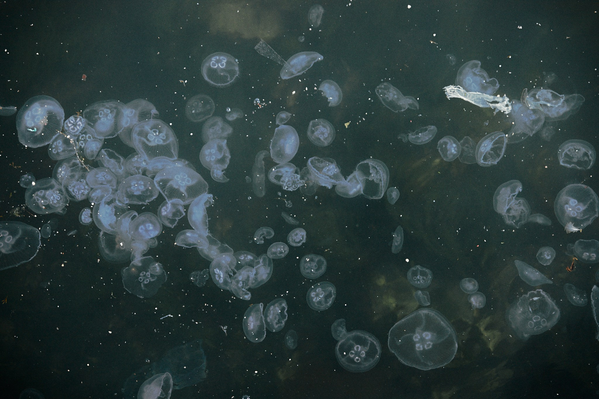 Улица горизонтальная. Jorgis — фотограф в Хургаде / обучение фотографии