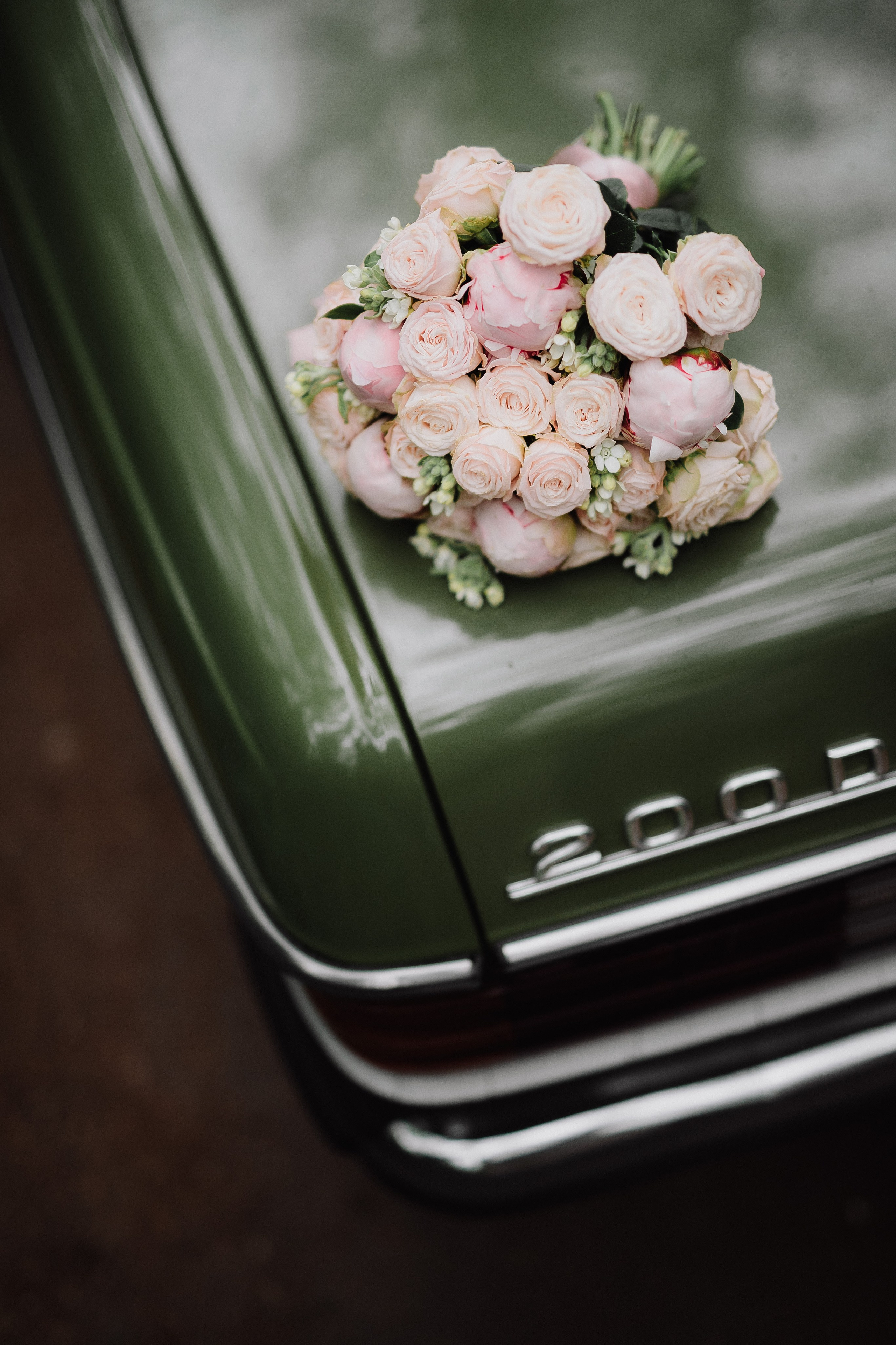 Е & E`23. Фотограф Кольчугино/Владимир/Москва Елизавета Иода