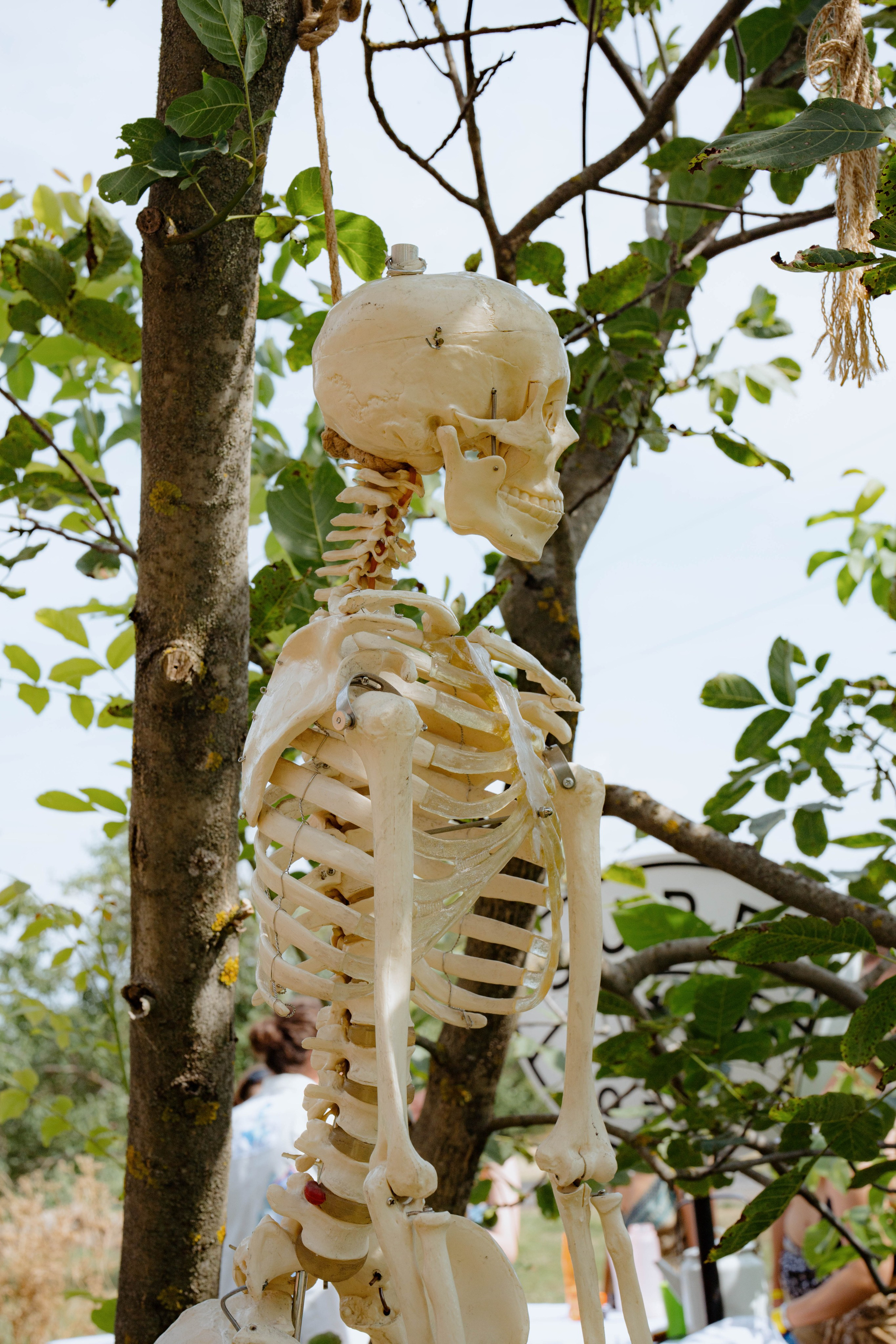 ASS FAMILY | СОН В ДЕРЕВНЕ | АВИАРЕЖИМ 8.0