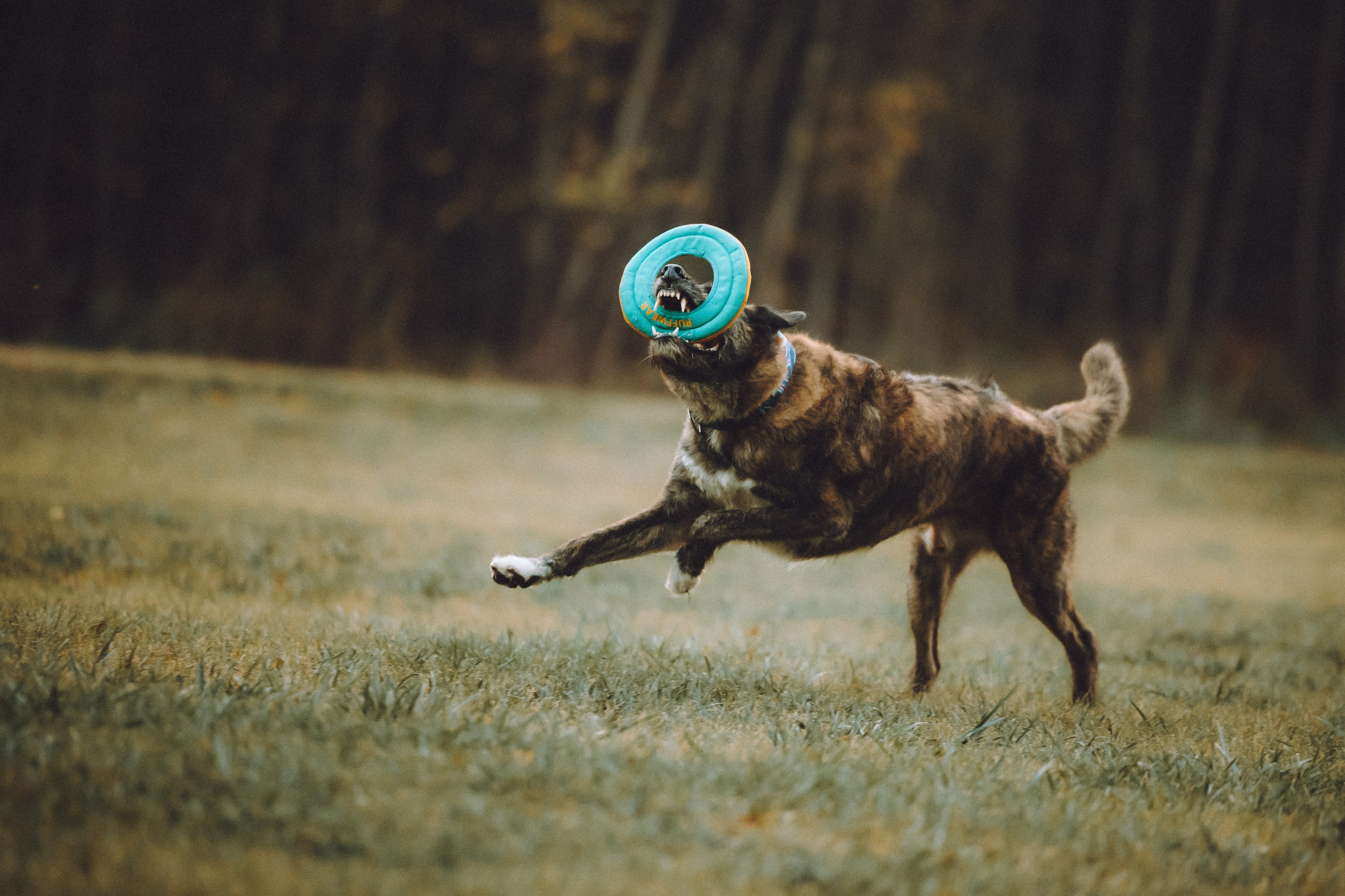 Рик, Джек и их семья