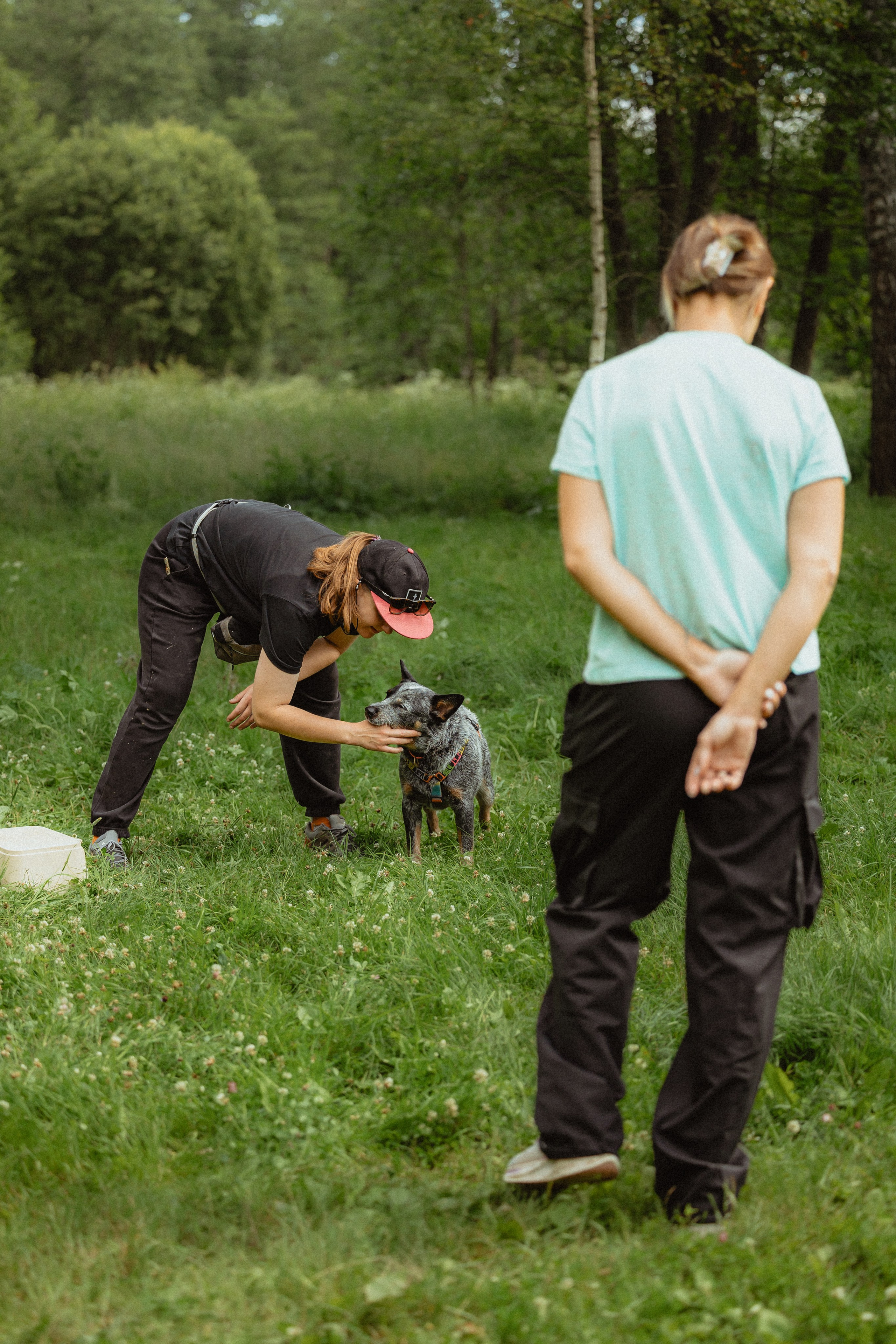 Выездной дог-тренинг от школы «Шерсть имею»