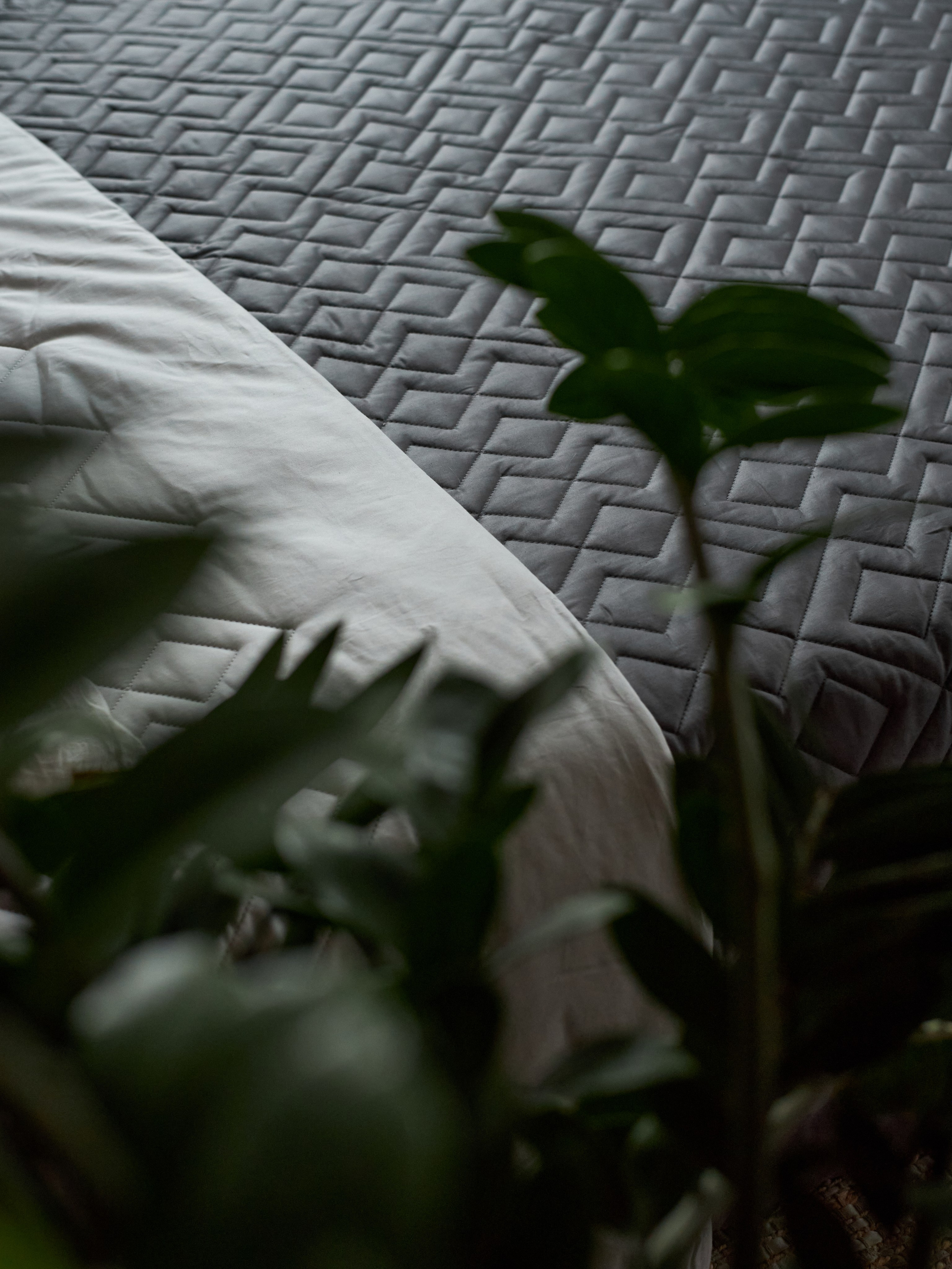 Предметная фотосъемка. Фотостудия Домодедово — Lumi Studio