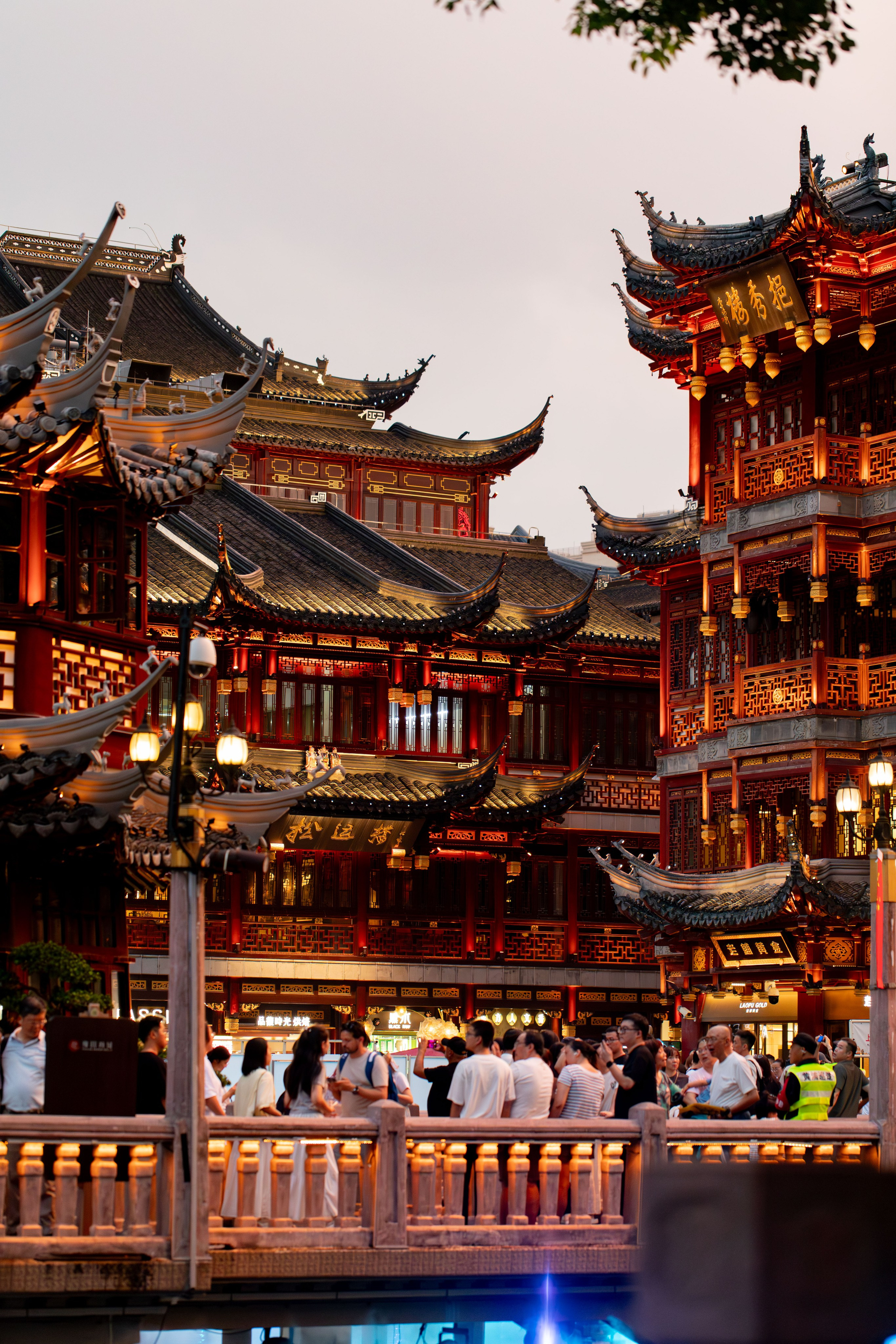 China, Shanghai, 2025. Воройская Анна