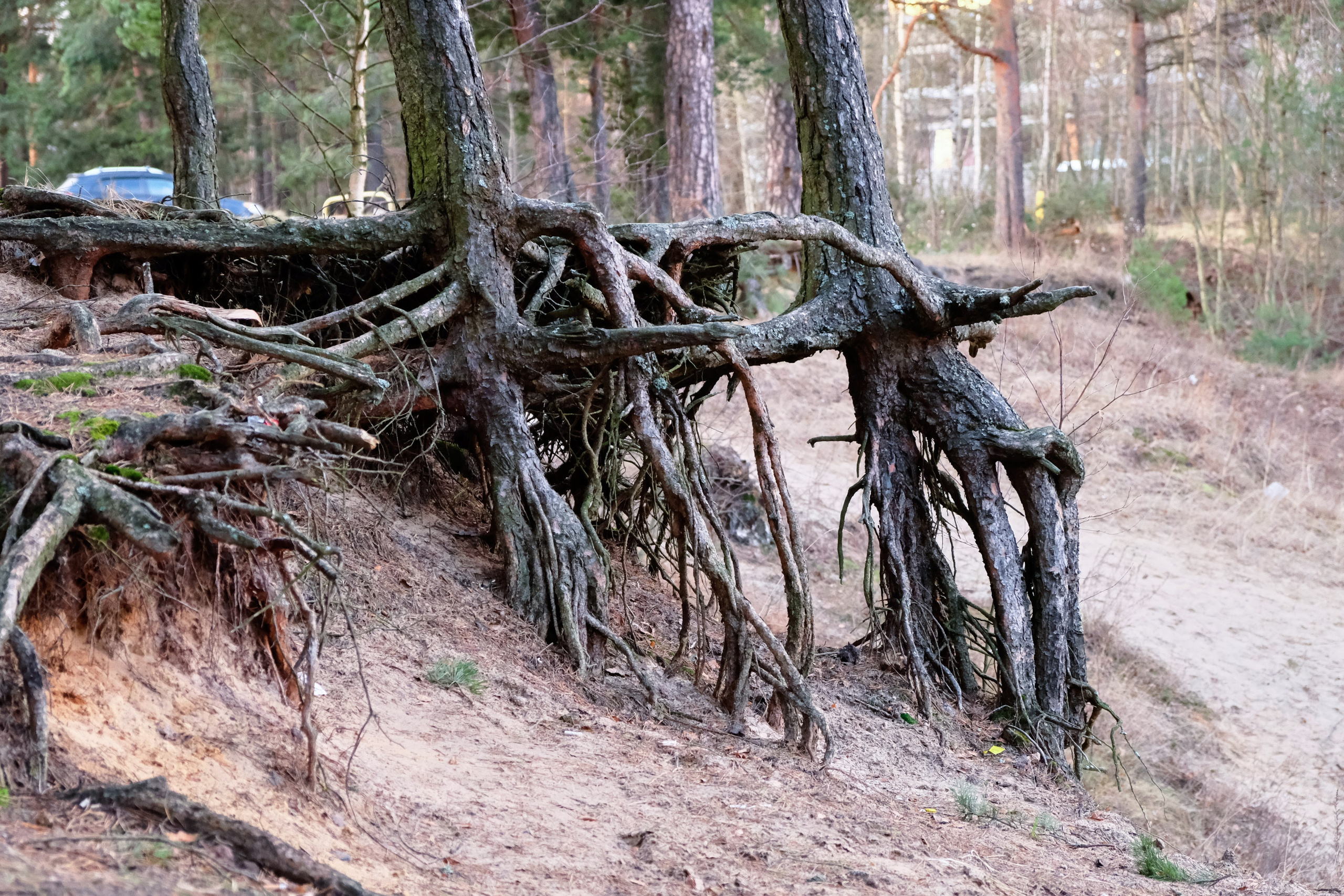 Пейзажи. Фотограф Дмитрий Алексеев