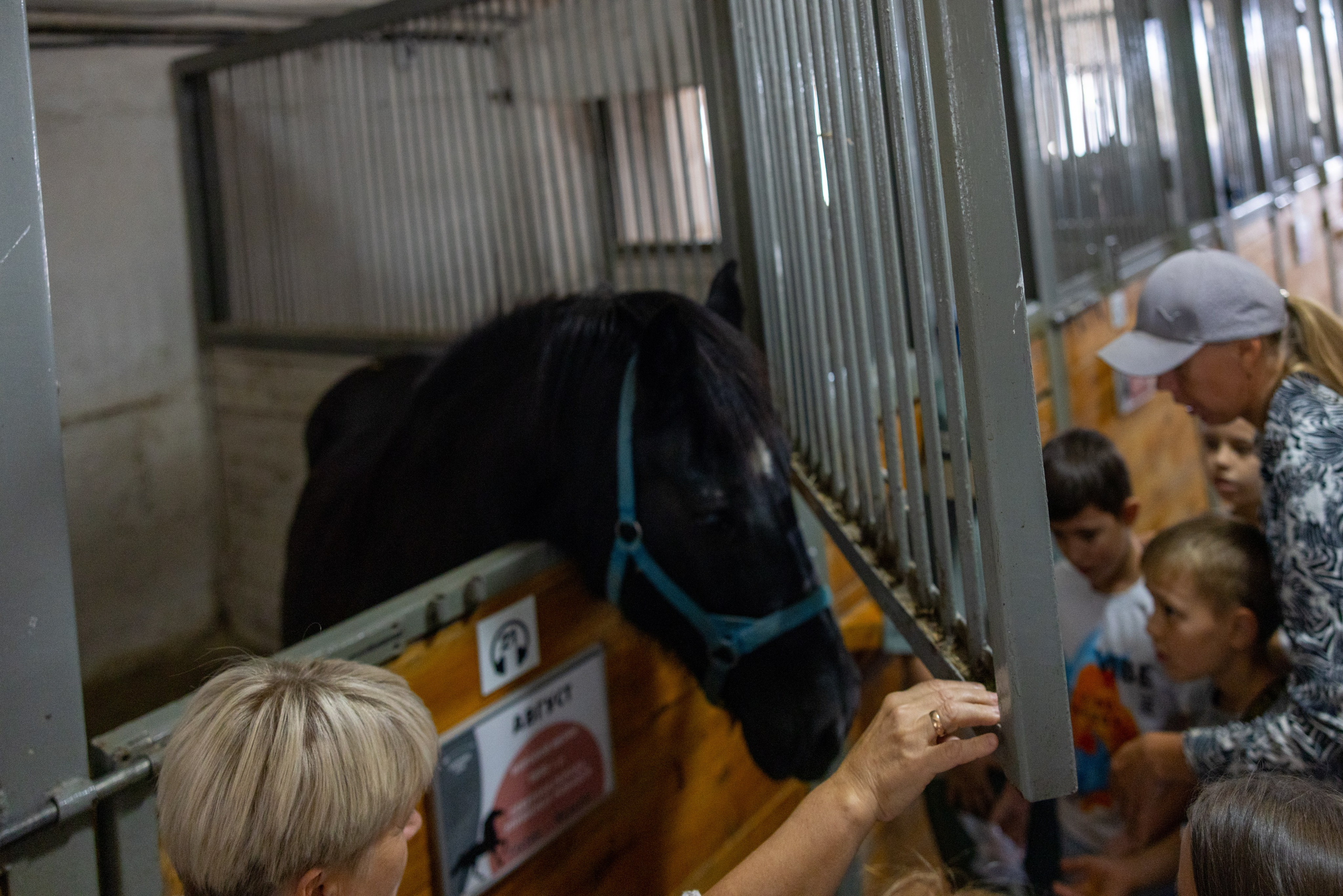 Поездка на поле Кулеково. Фотограф в Туле Крупский АнДРей. Фотостудия «КАДР71» в Туле