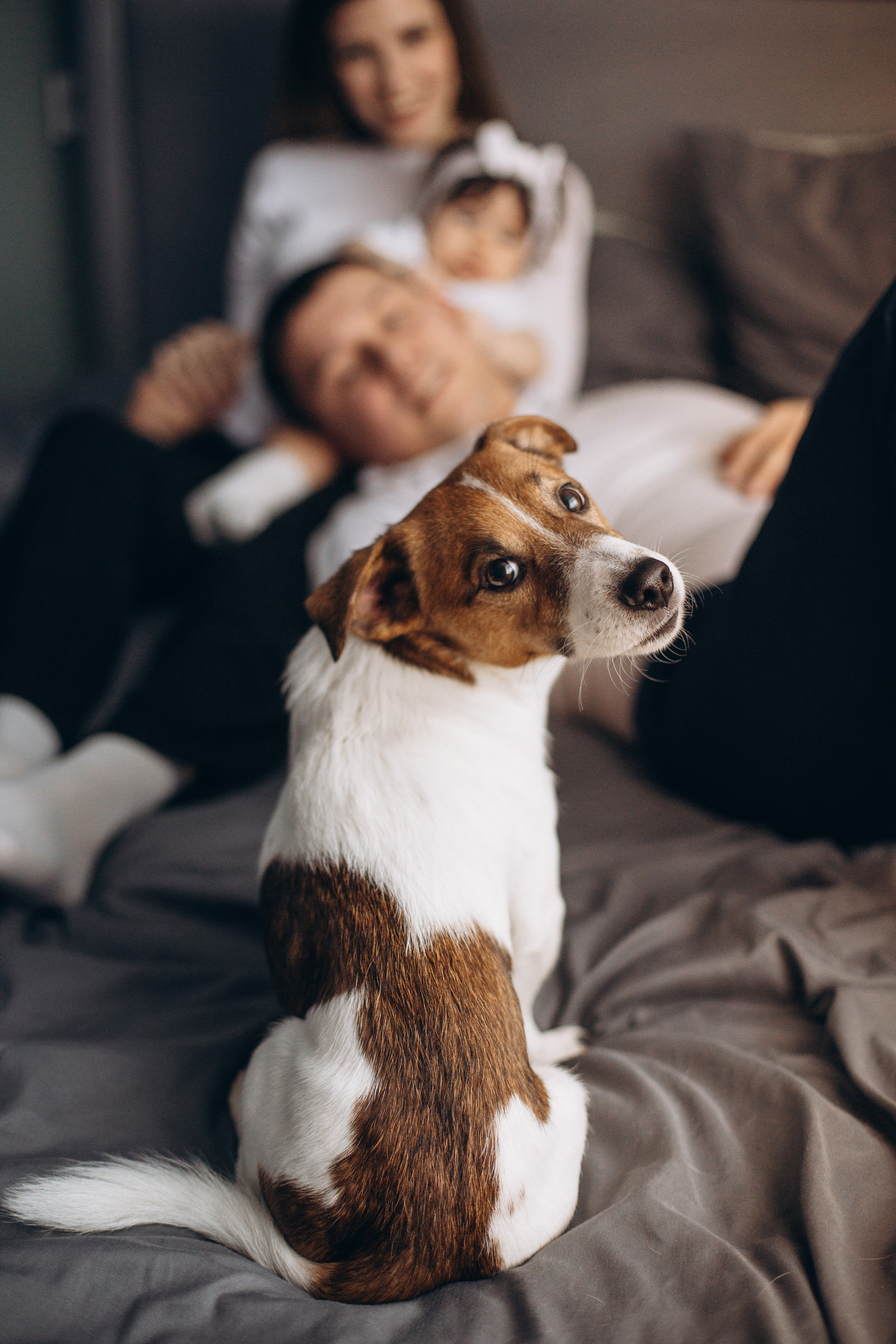 Джой и его семья. Фотограф — Анималист | Санкт-Петербург