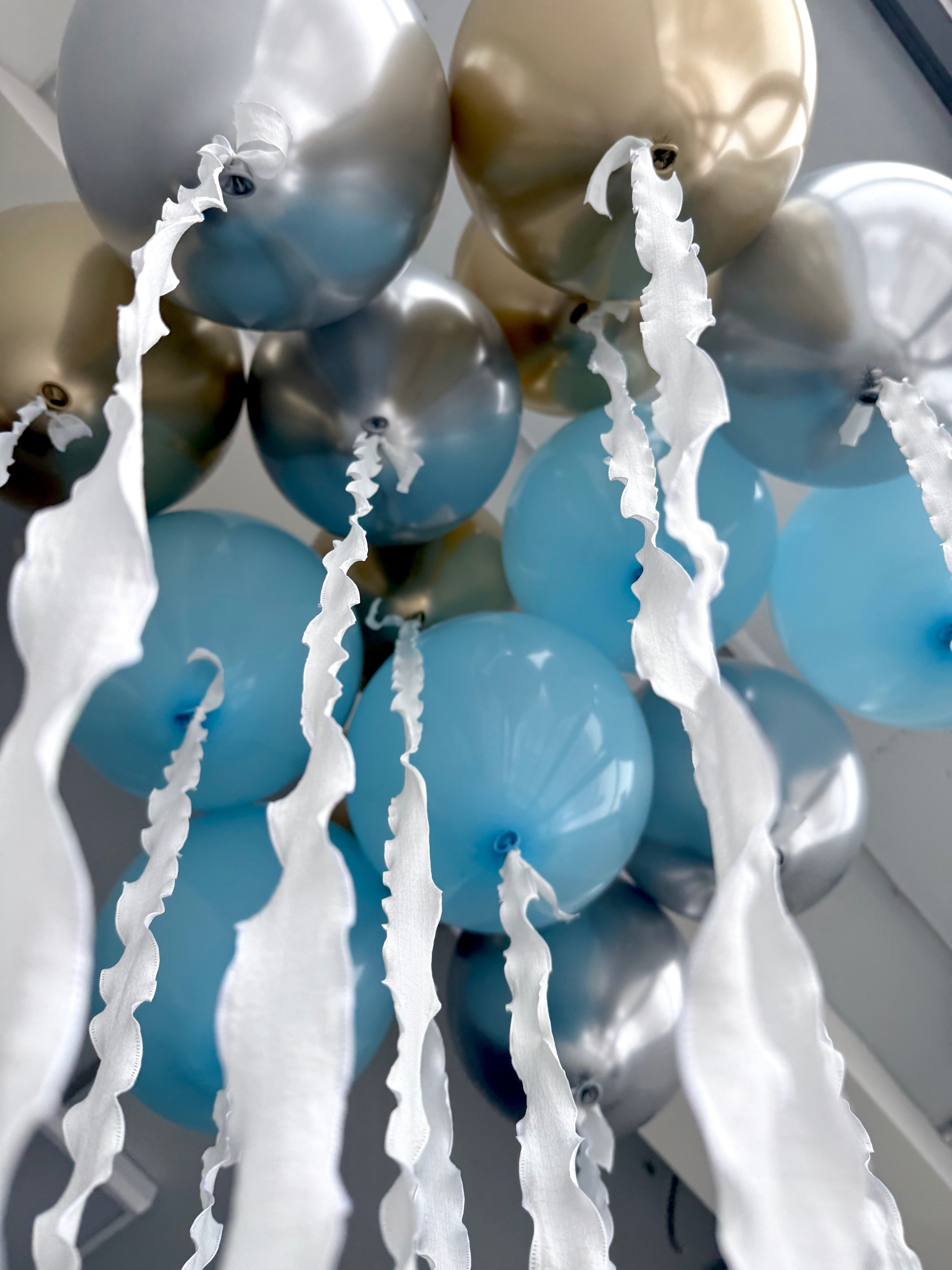 Выписка. Фабрика праздника