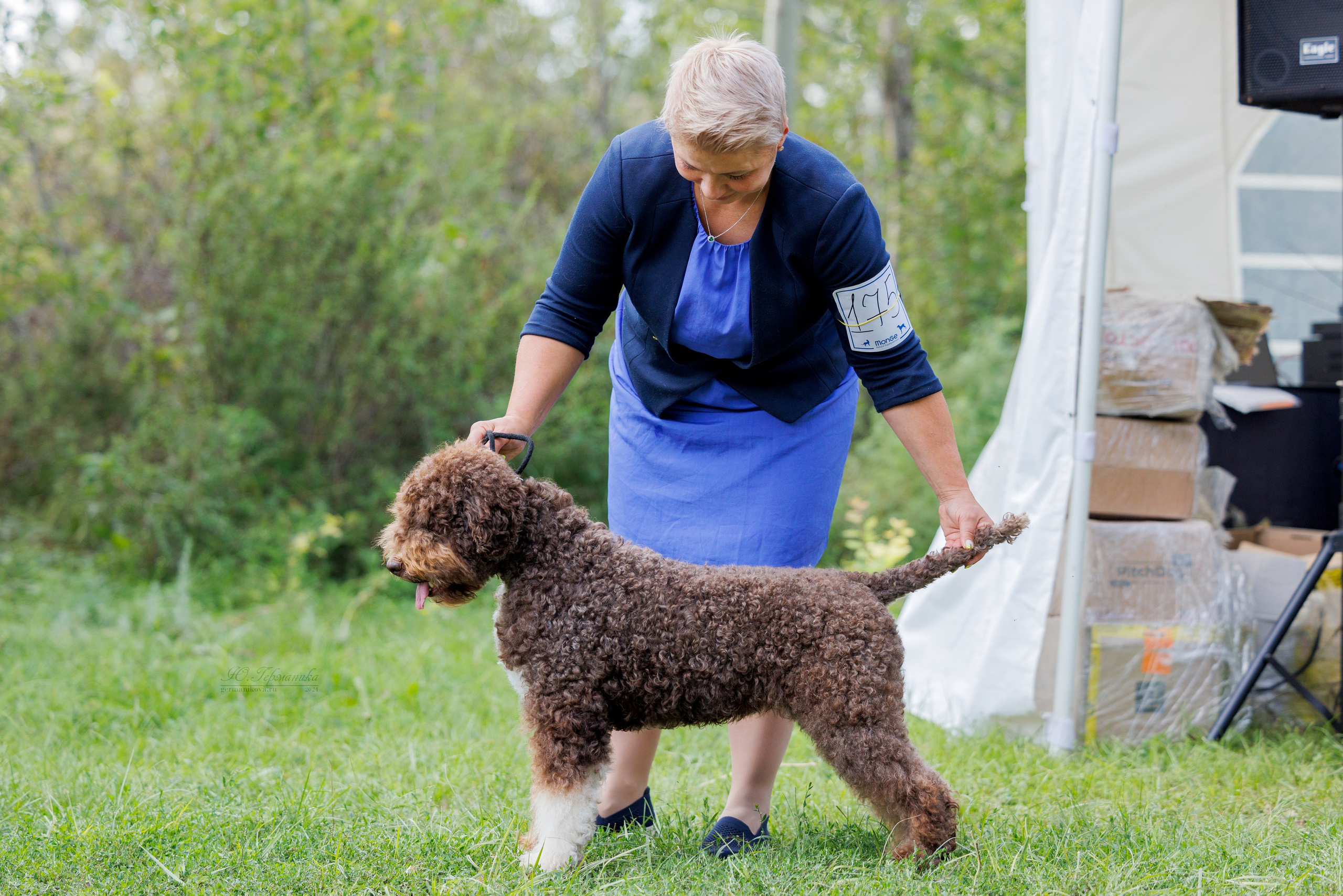Астана 2хCACIB 17-18.08.2024. Фотограф-анималист Юлия Германика