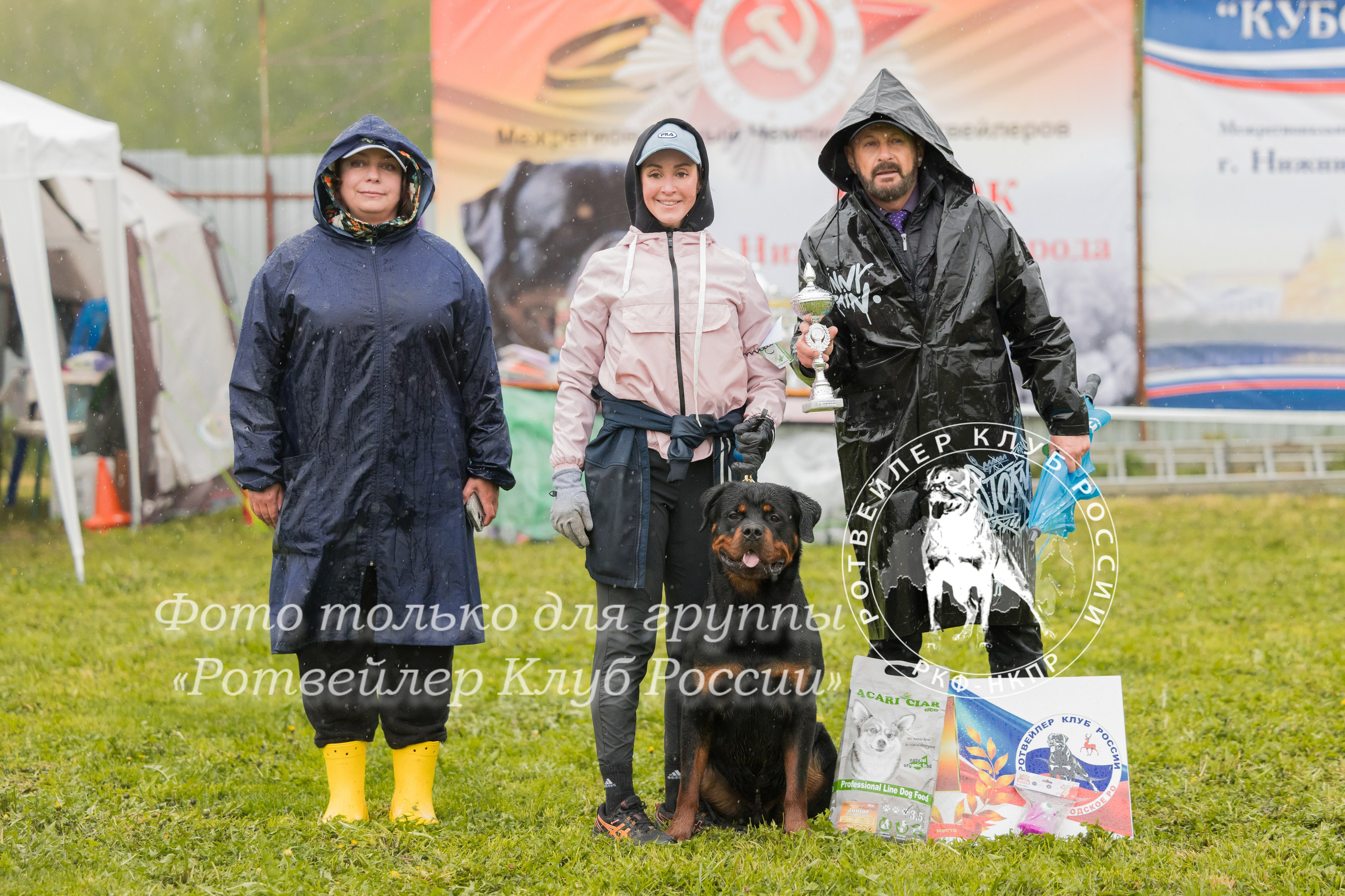 Нижний Новгород 2хмоно ротвейлеров 10-11.05.2025. Фотограф-анималист Юлия Германика