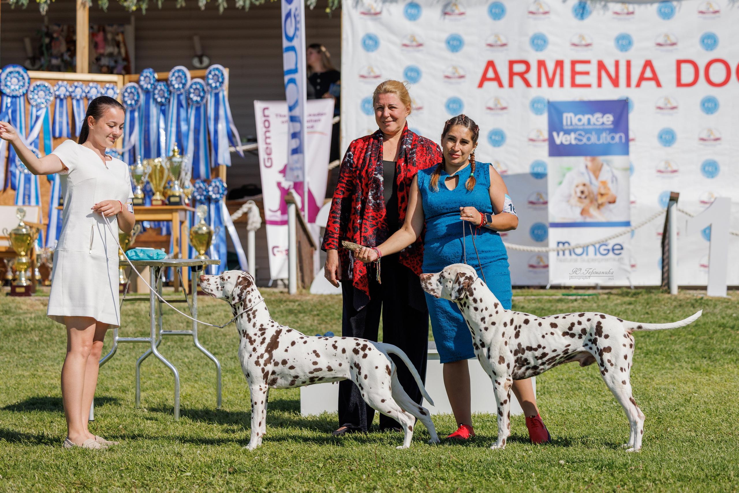 Ереван 14-16.10.2025. Фотограф-анималист Юлия Германика