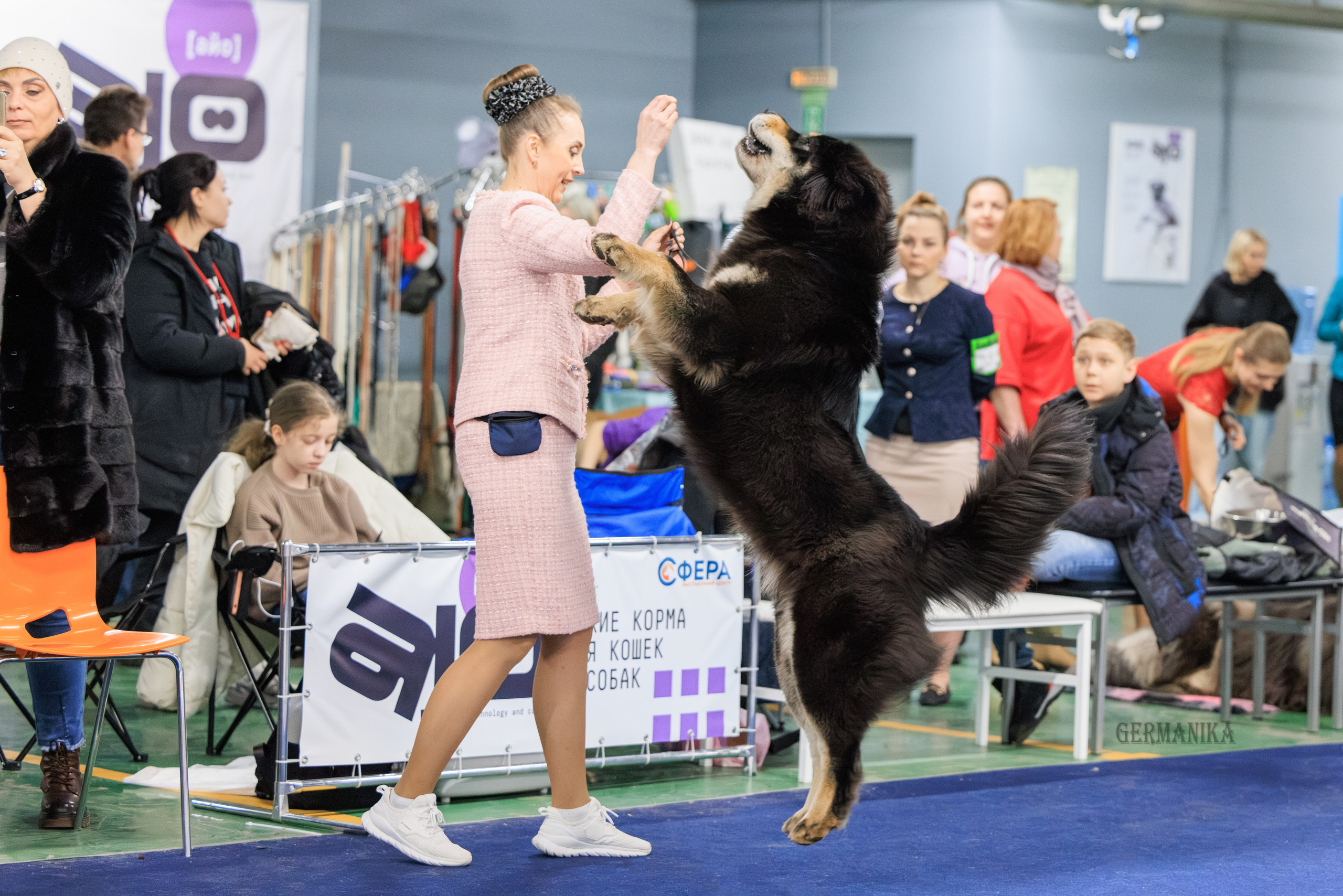 Сфера 08 и 10.03.2024 2хмоно ротвейлеров+2хмоно сао. Фотограф-анималист Юлия Германика