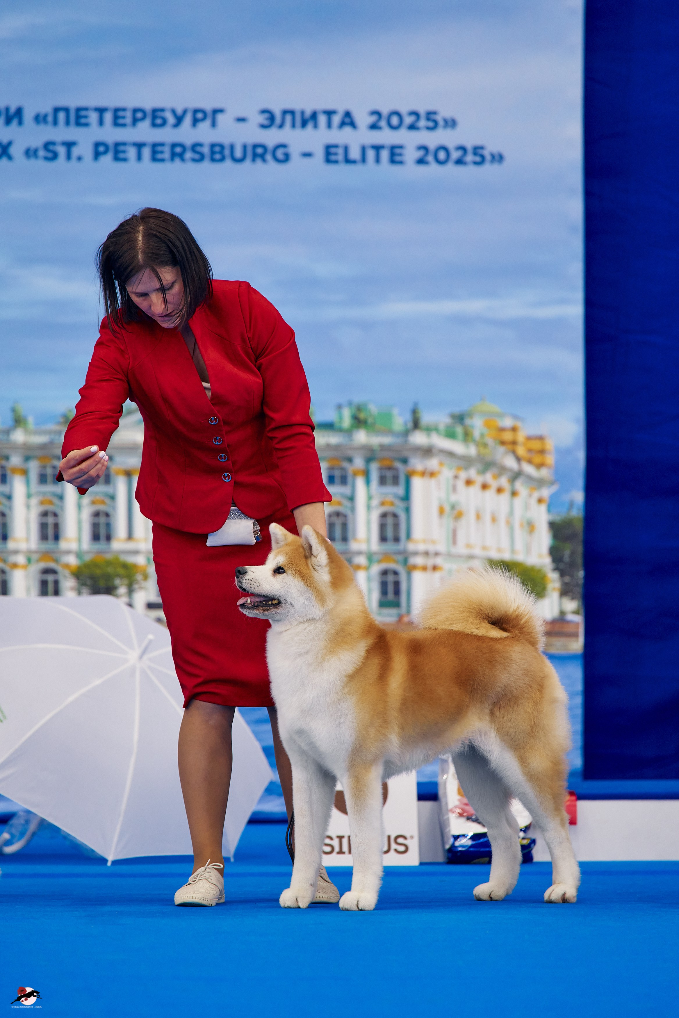 27.04.2025 | "Петербург-Элита 2025" & «КУБОК «ЭЛИТЫ»-2025»