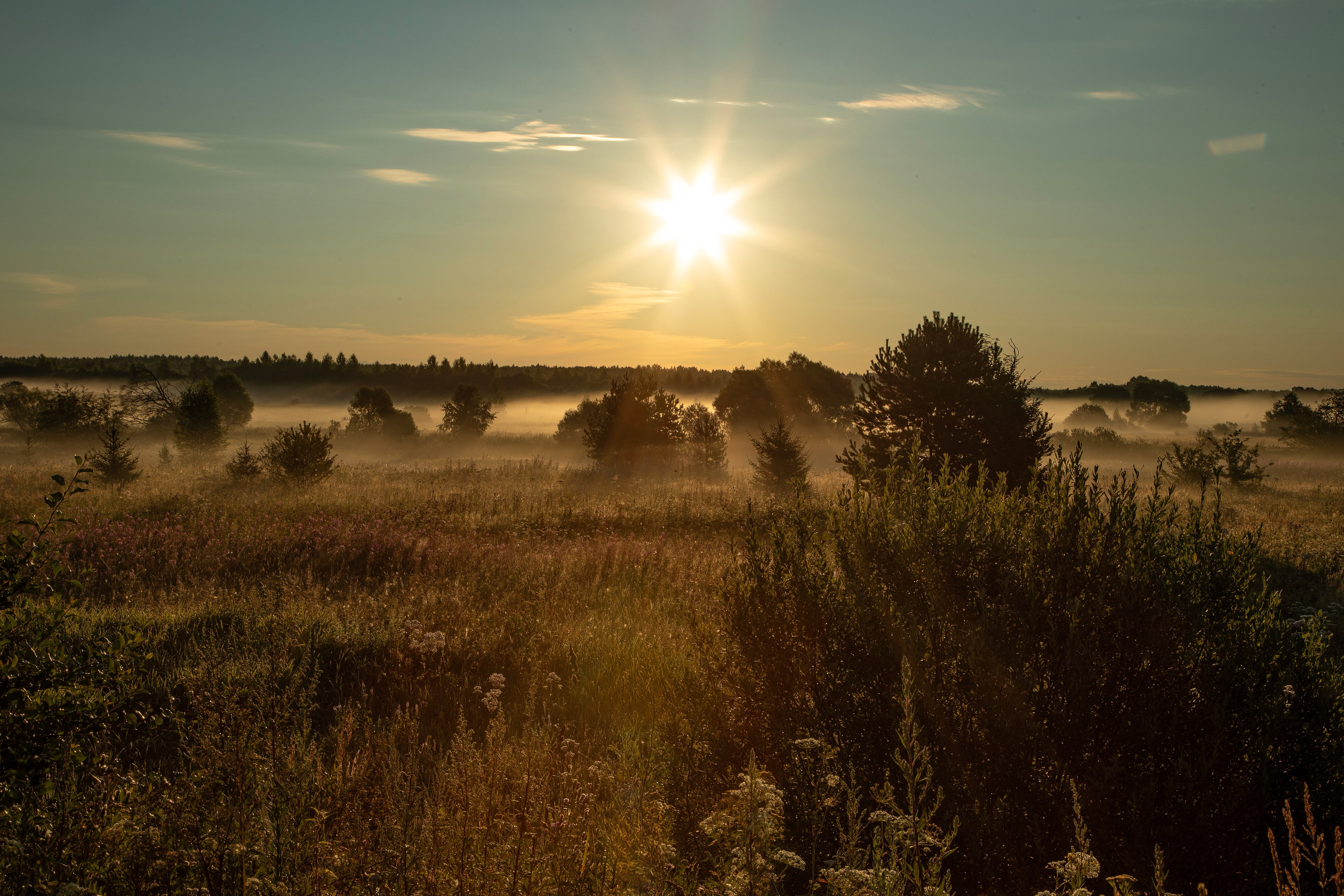 Село Тимирязево, Лухский район. Фотограф Сергей Ловкий