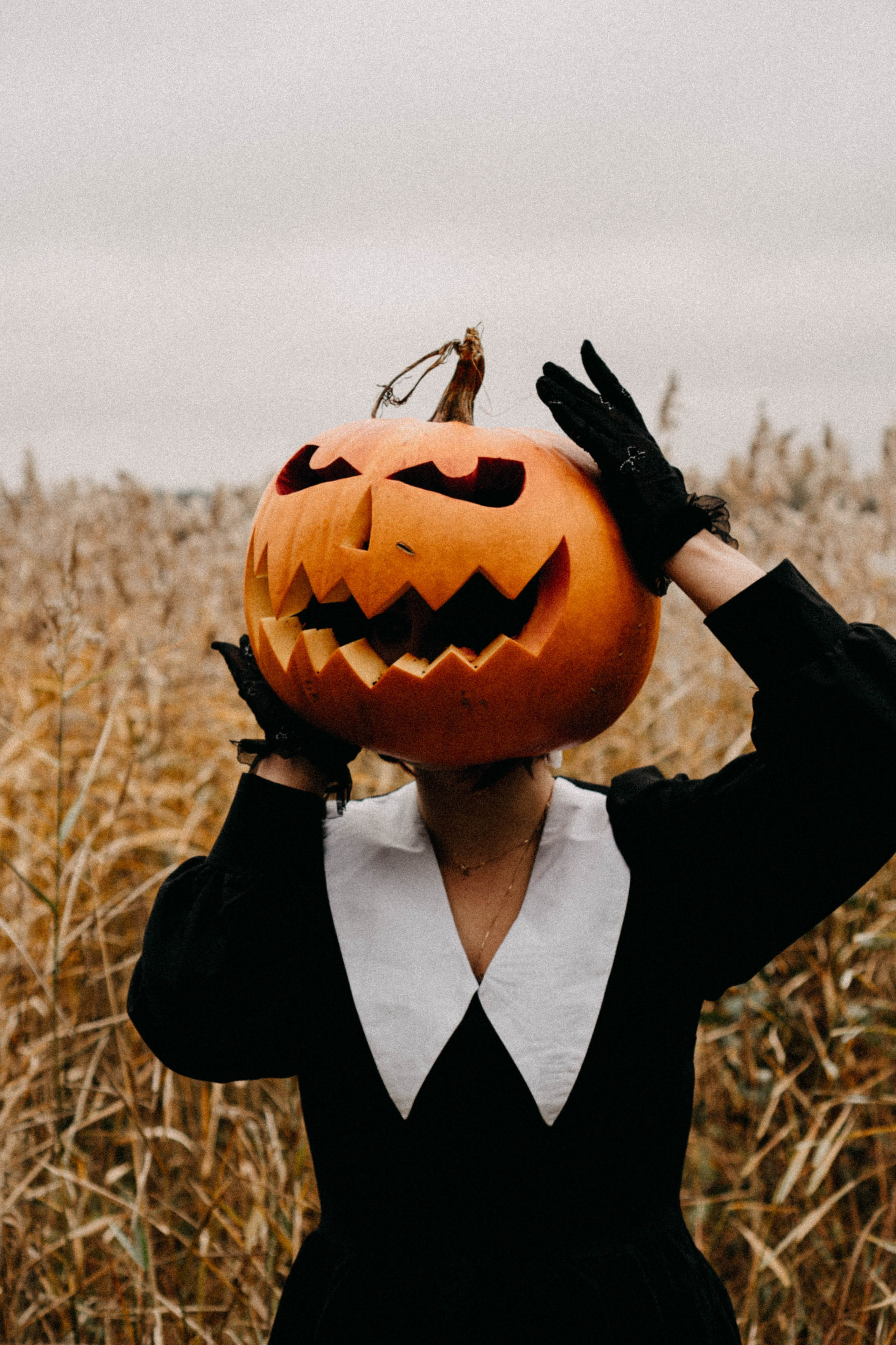 Осеняя. Профессиональный фотограф, Санкт-Петербург — Виктория Богомолова
